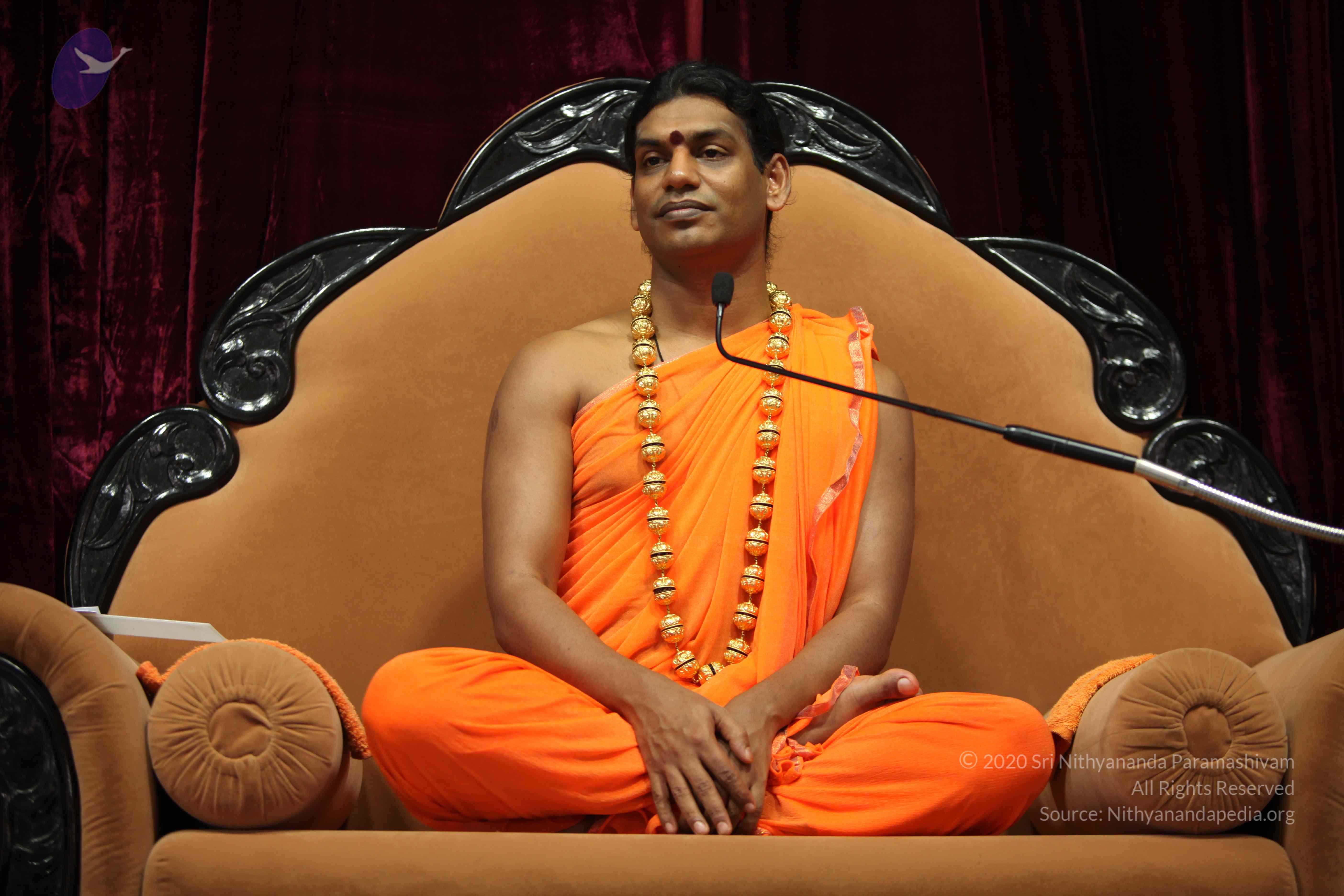 20110227_Photo_1012_IMG_9400_CMP_WM