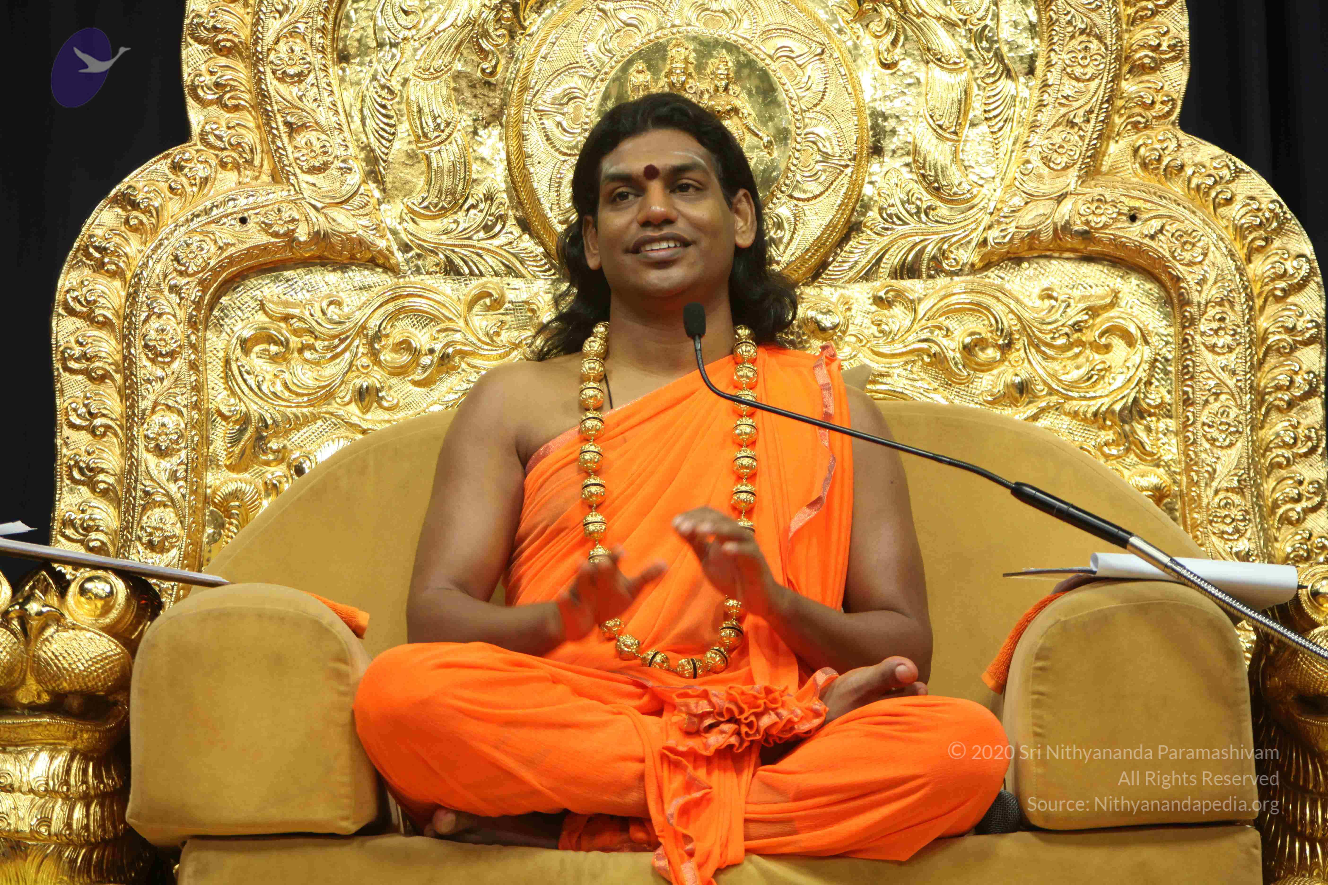 20110227_Photo_1018_IMG_9075_CMP_WM