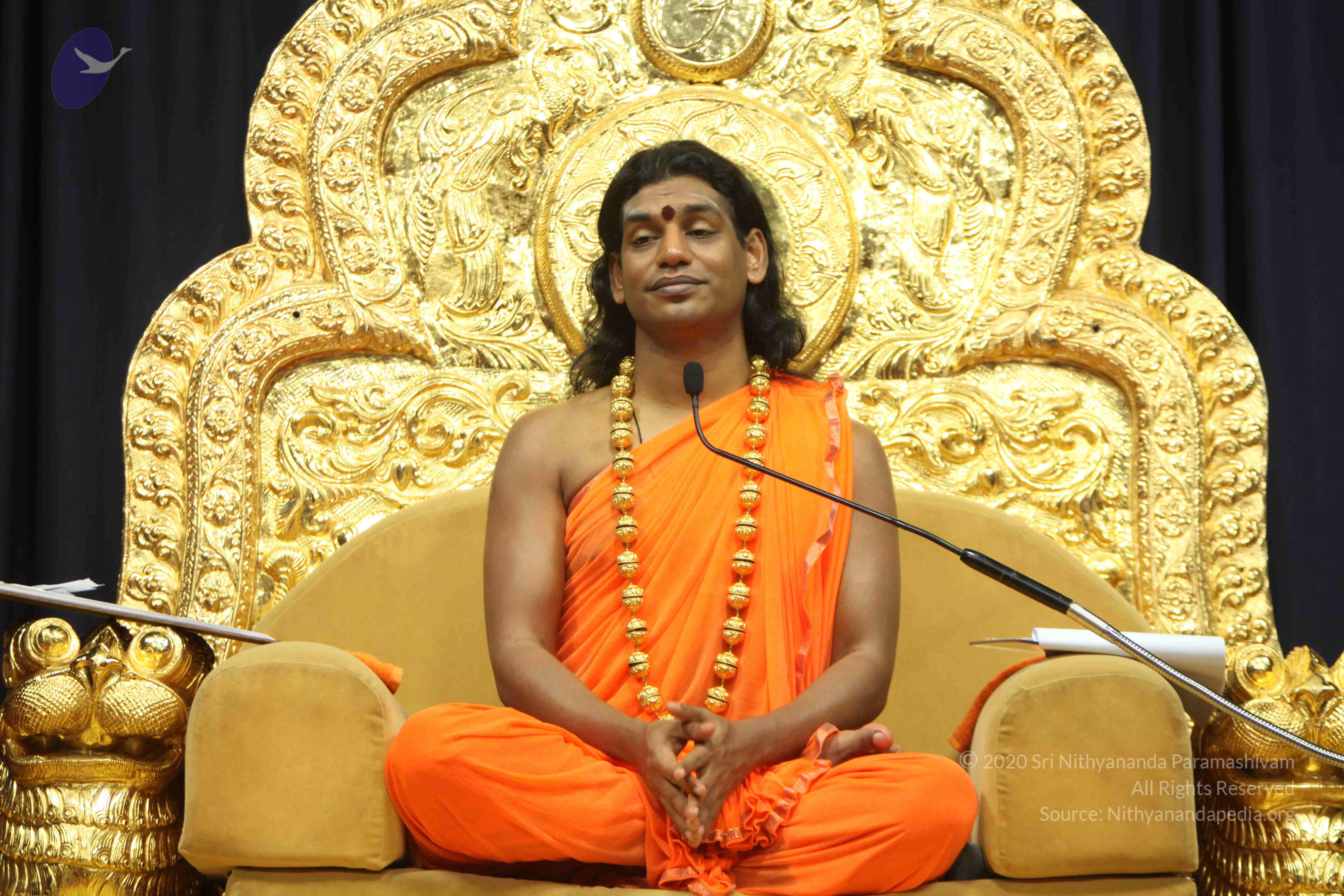 20110227_Photo_1025_IMG_9125_CMP_WM