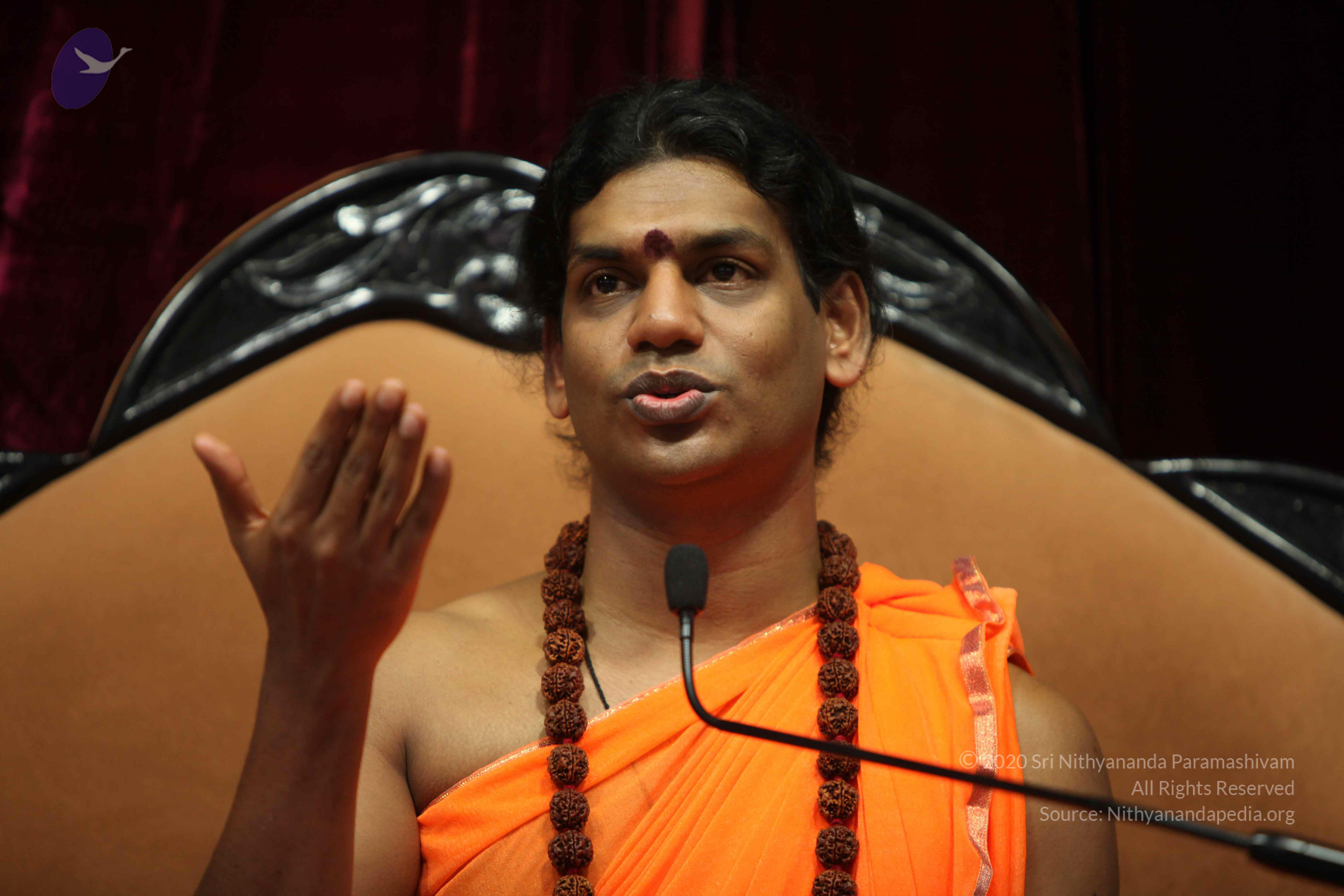 20110227_Photo_1028_IMG_9519_CMP_WM