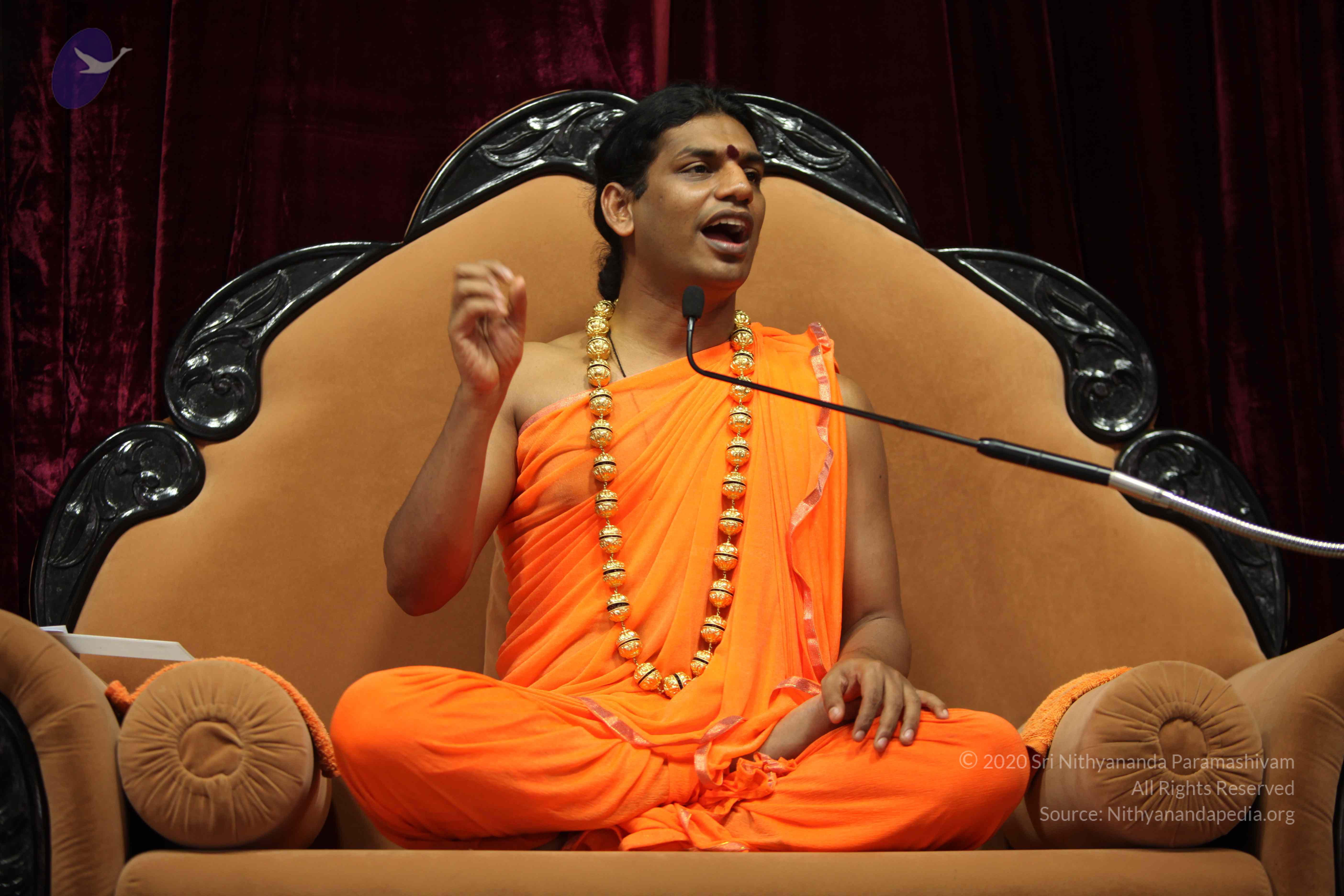 20110227_Photo_1029_IMG_9458_CMP_WM