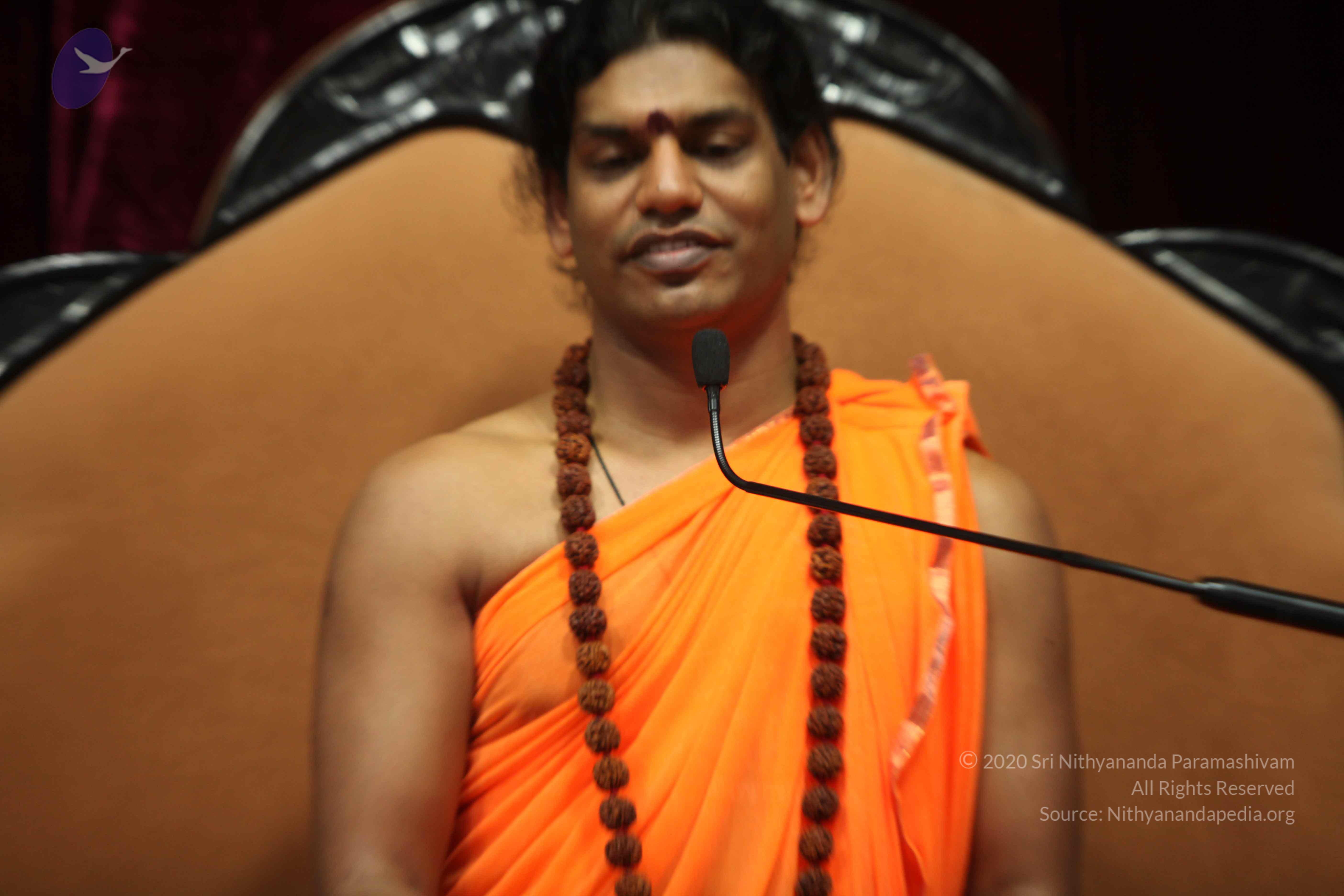 20110227_Photo_1037_IMG_9532_CMP_WM