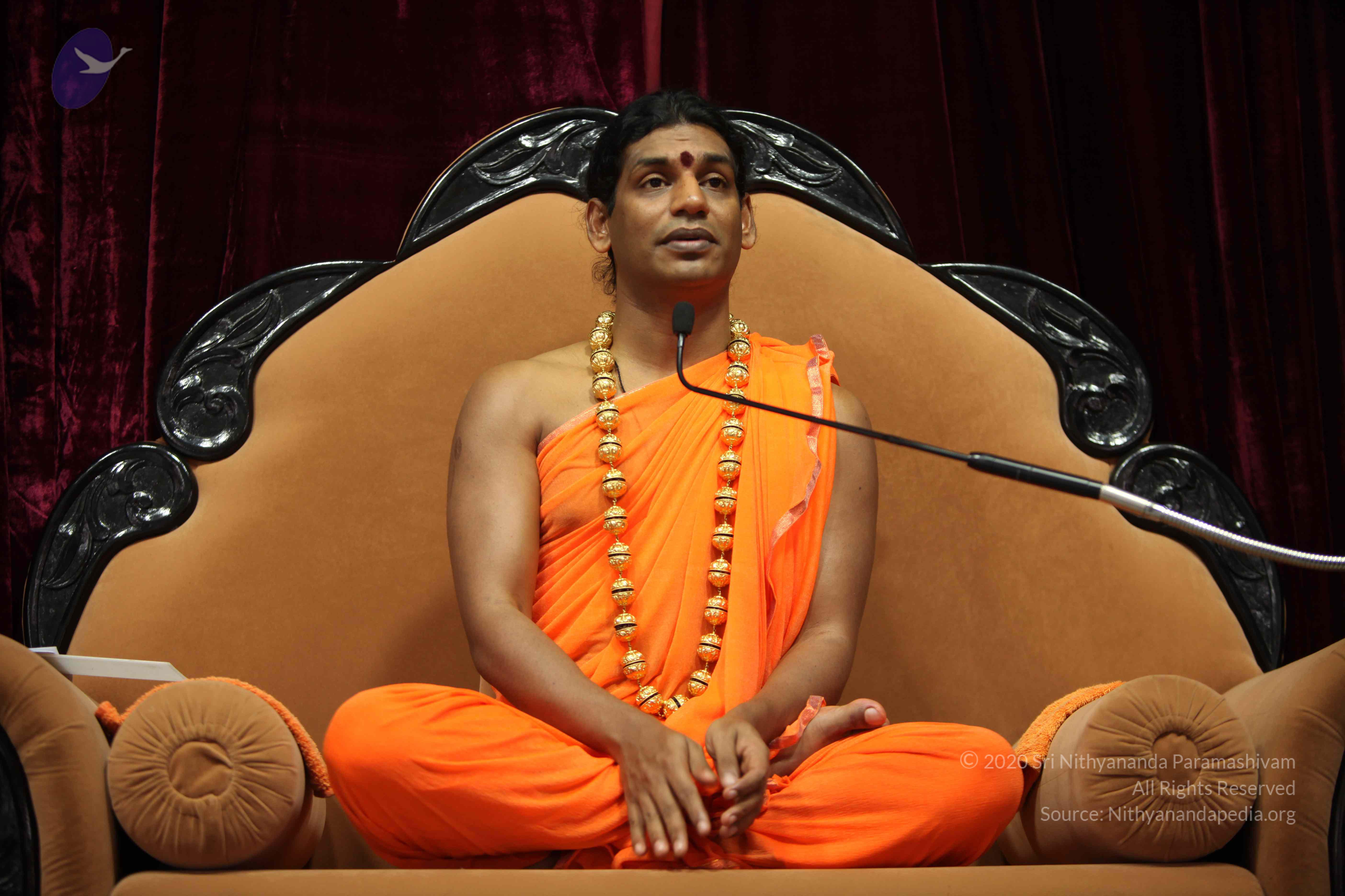 20110227_Photo_1039_IMG_9426_CMP_WM