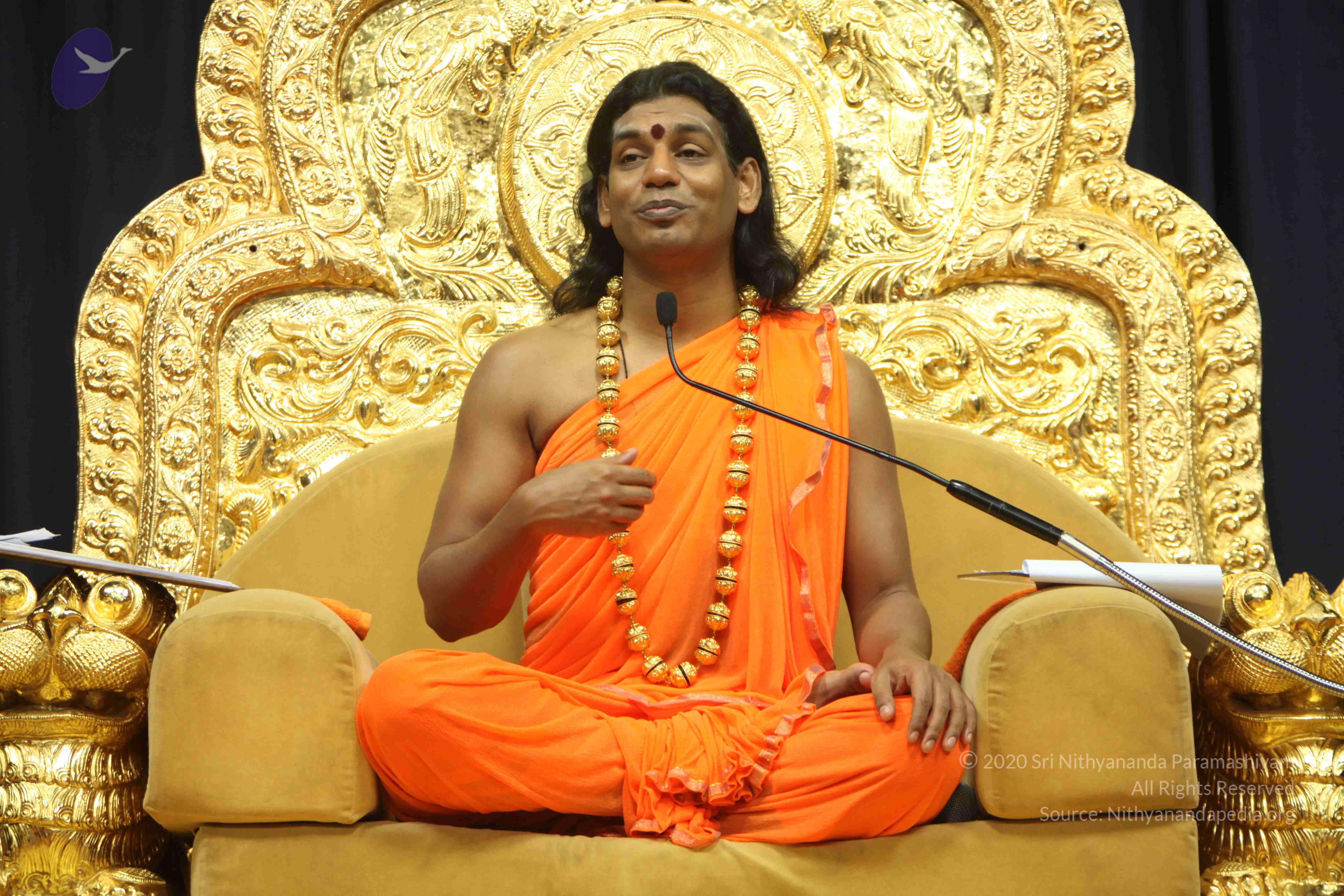 20110227_Photo_1041_IMG_9205_CMP_WM