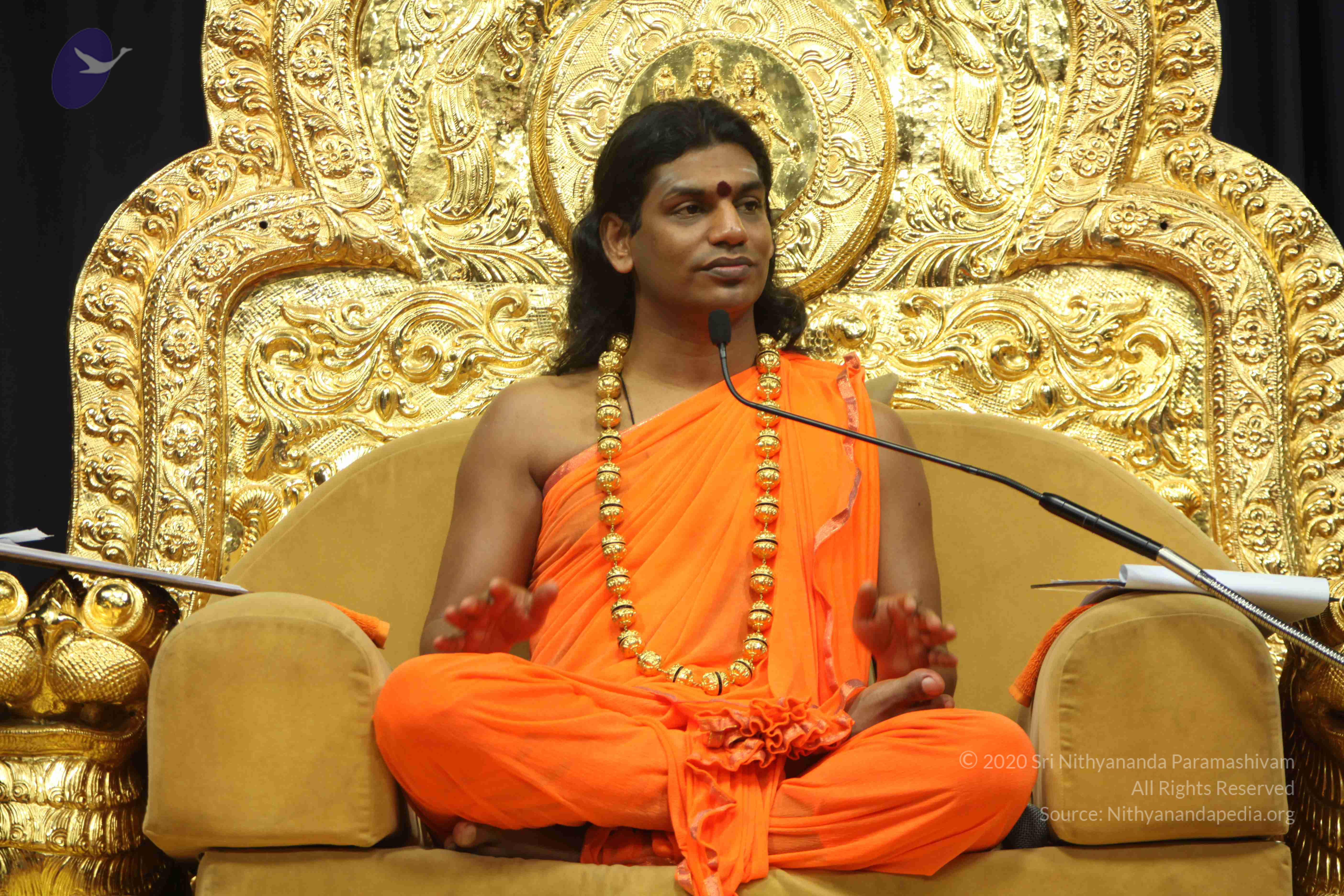 20110227_Photo_1042_IMG_9078_CMP_WM