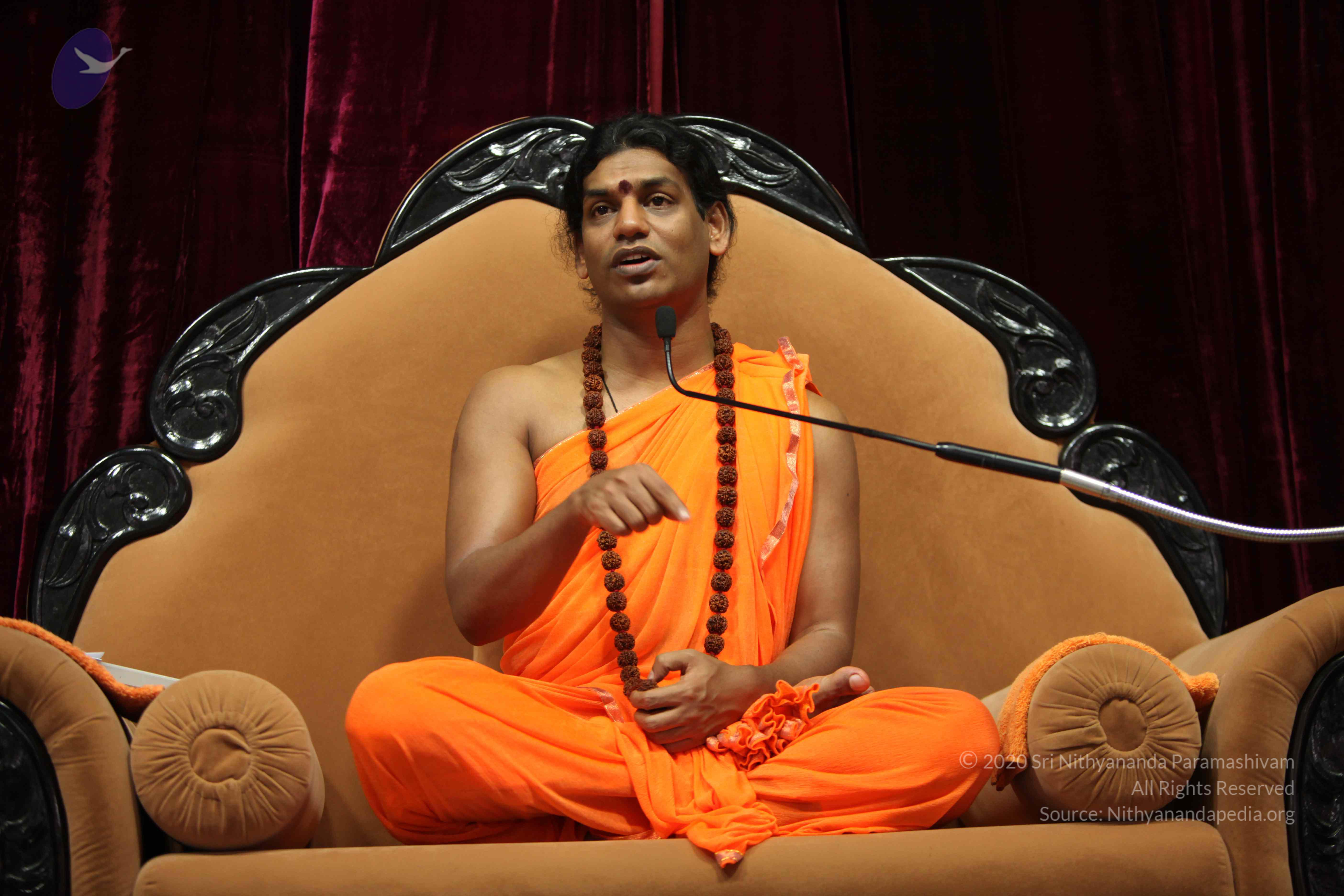 20110227_Photo_1043_IMG_9550_CMP_WM