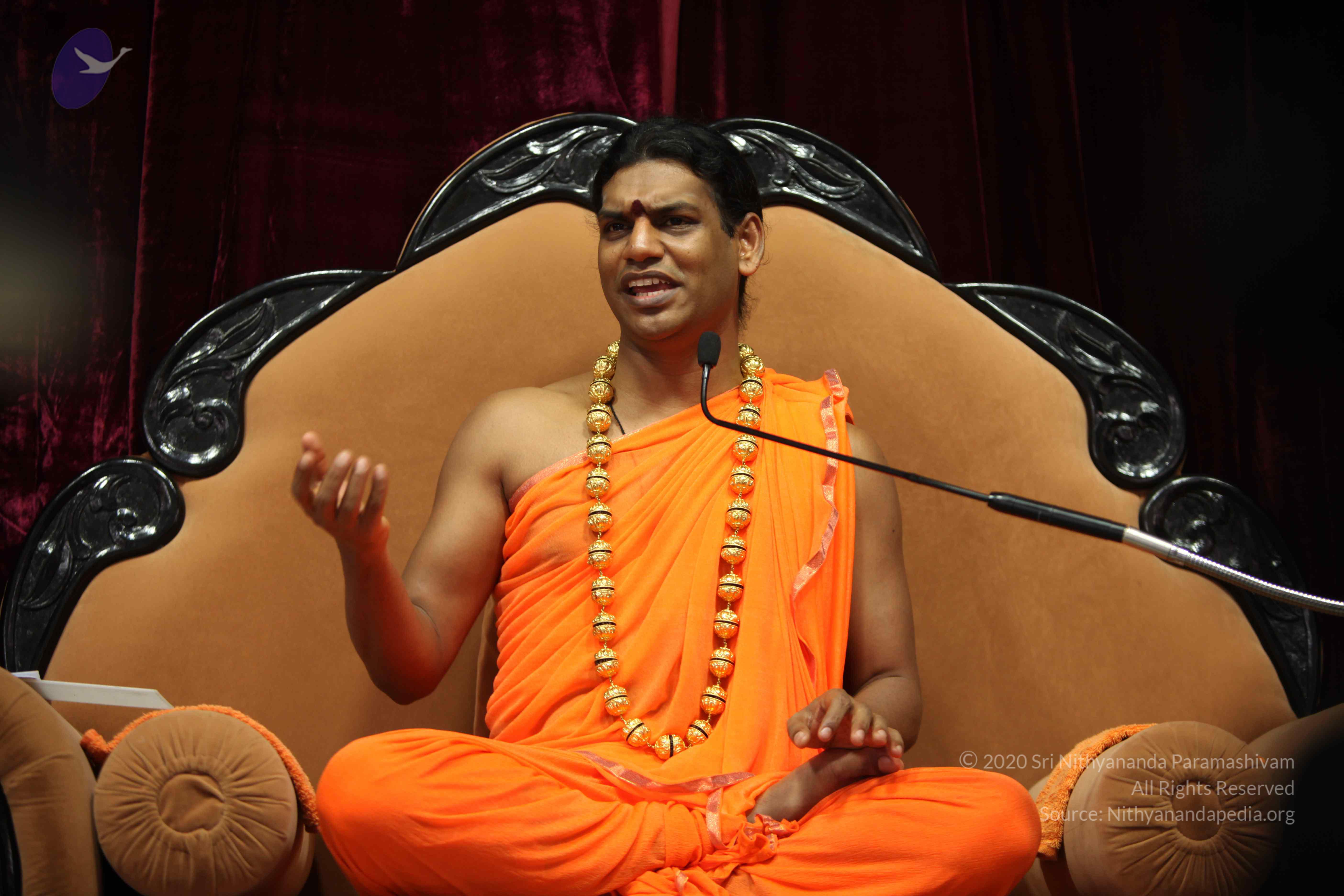 20110227_Photo_1045_IMG_9473_CMP_WM