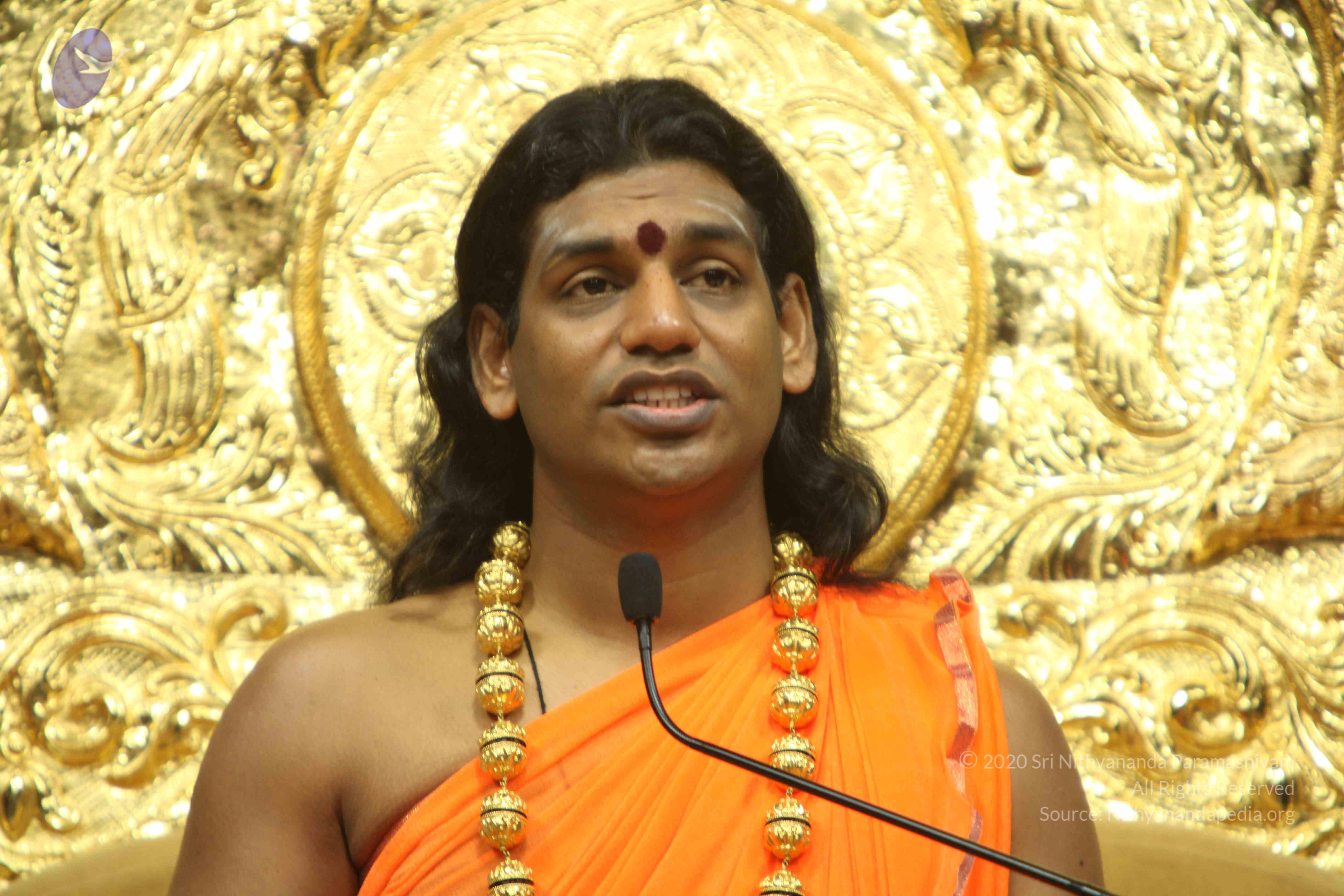 20110227_Photo_1049_IMG_9193_CMP_WM