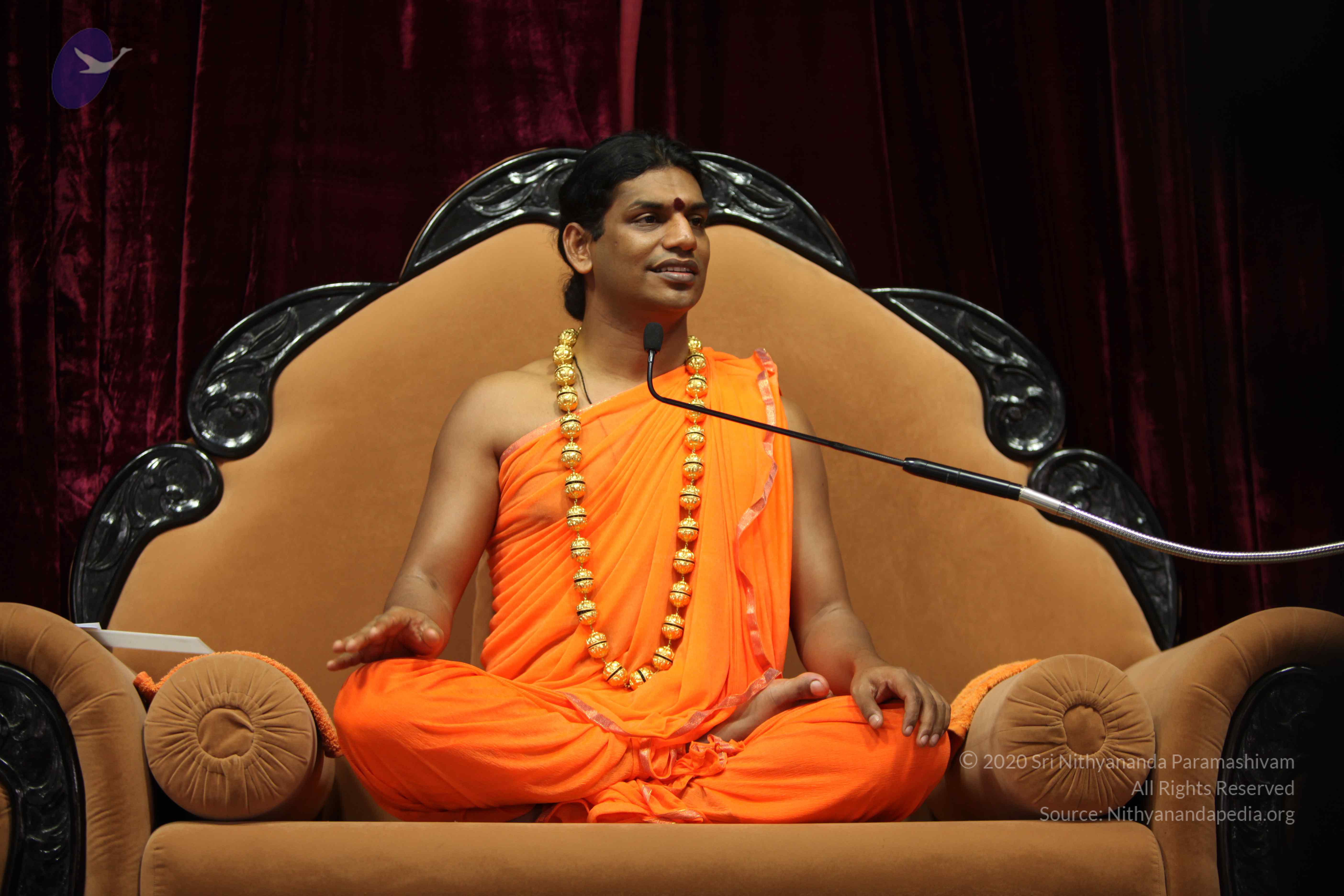 20110227_Photo_1052_IMG_9395_CMP_WM