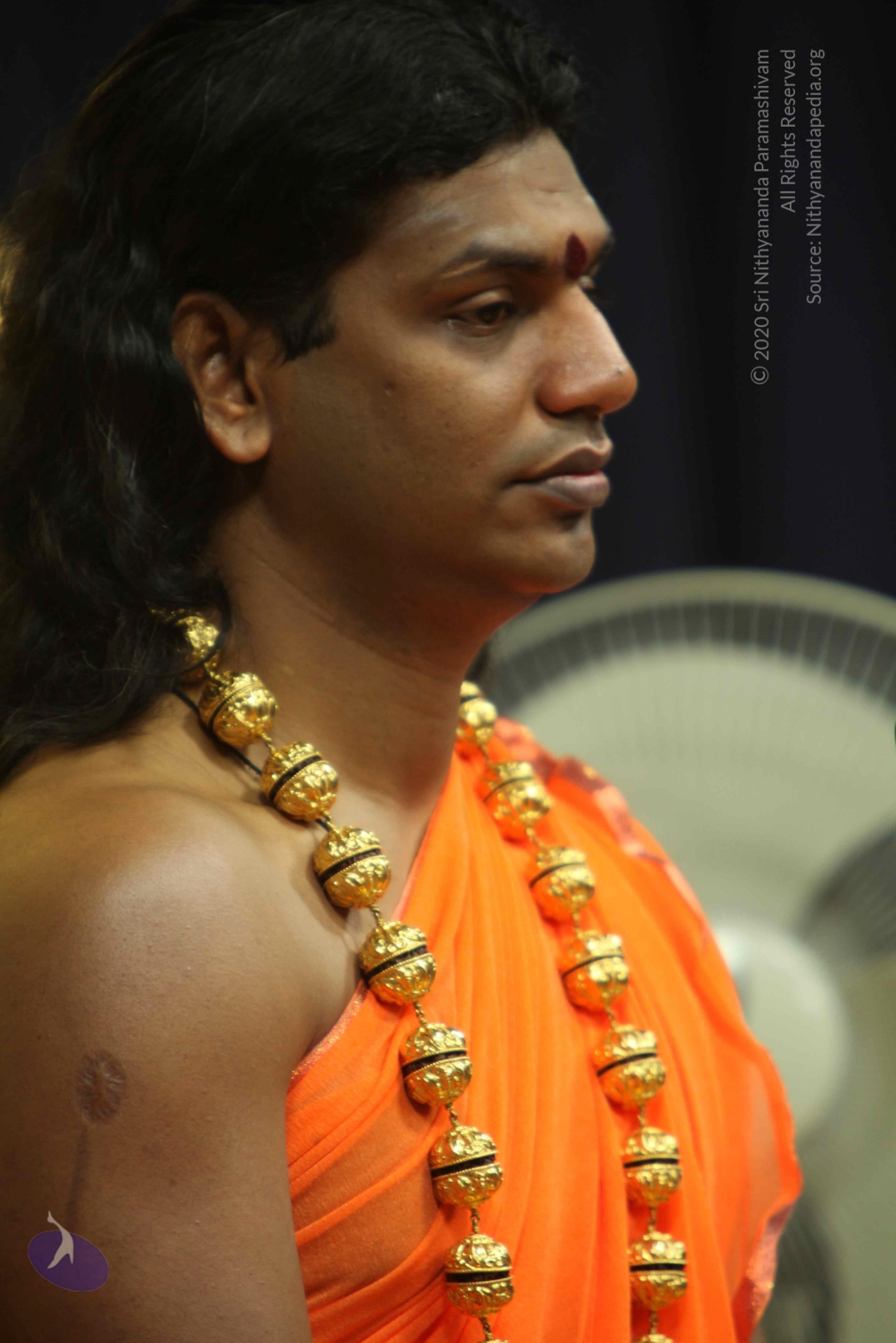 20110227_Photo_1055_IMG_9034_CMP_WM