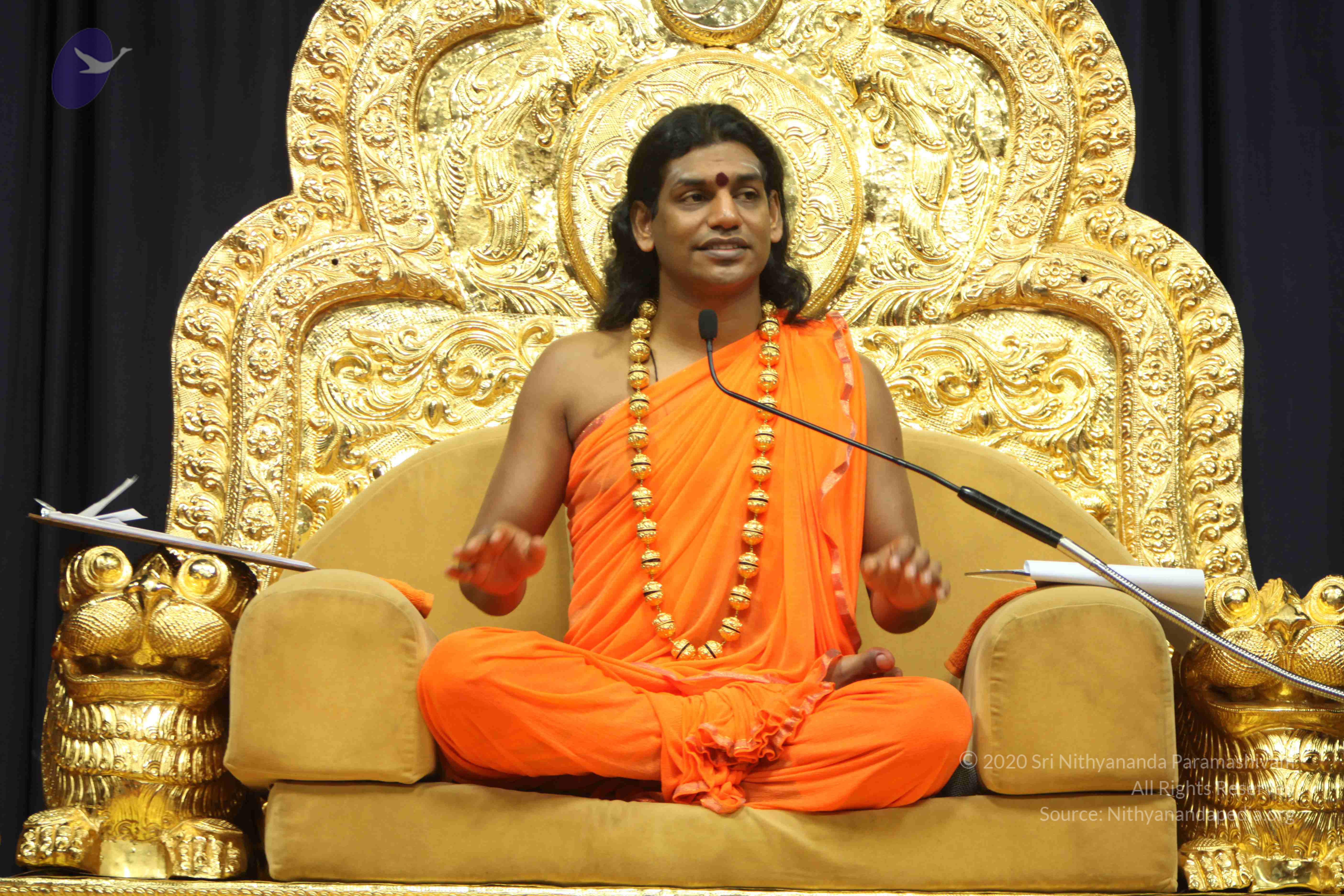 20110227_Photo_1056_IMG_9117_CMP_WM