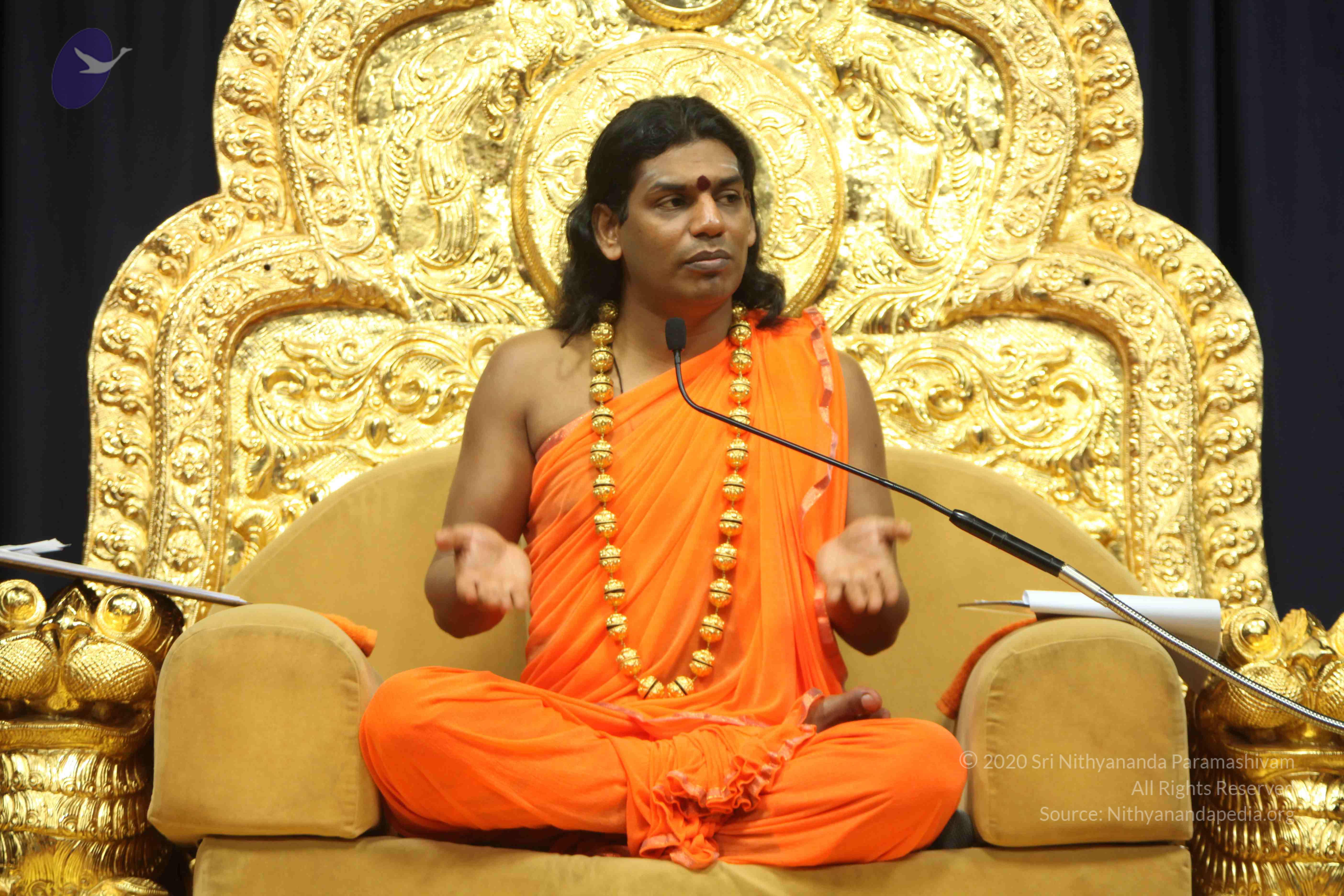 20110227_Photo_1058_IMG_9120_CMP_WM