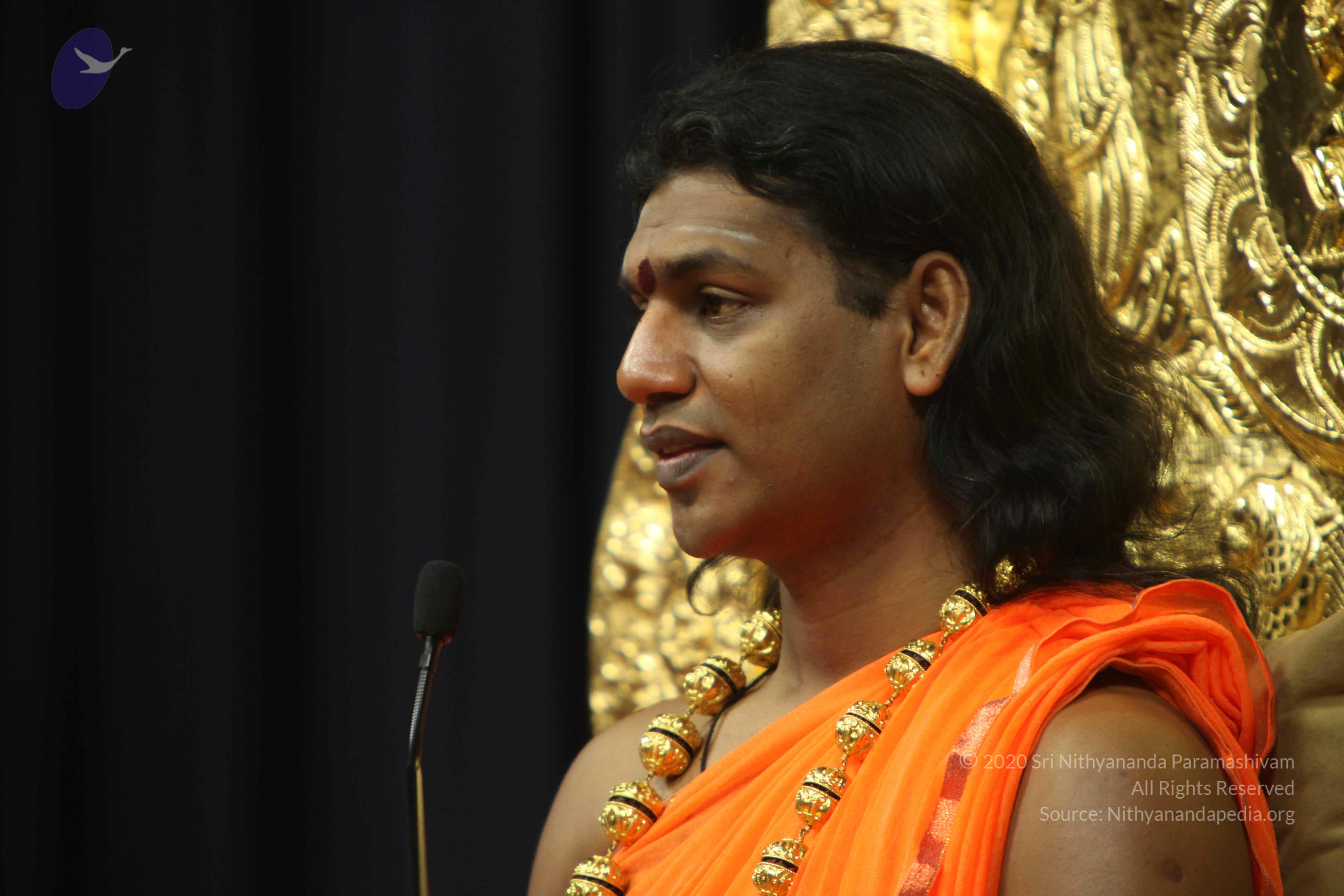 20110227_Photo_1059_IMG_9061_CMP_WM