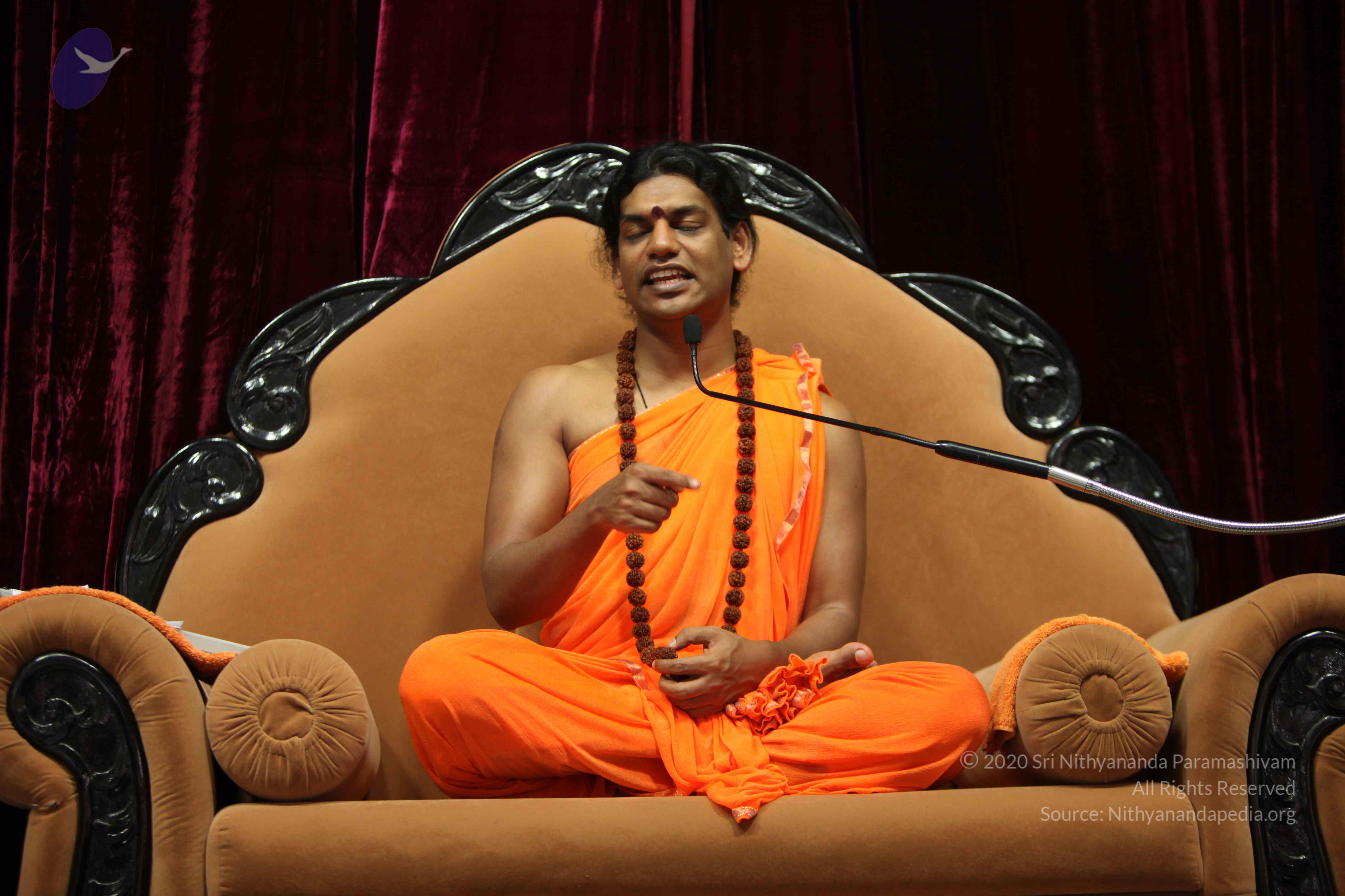 20110227_Photo_1060_IMG_9549_CMP_WM