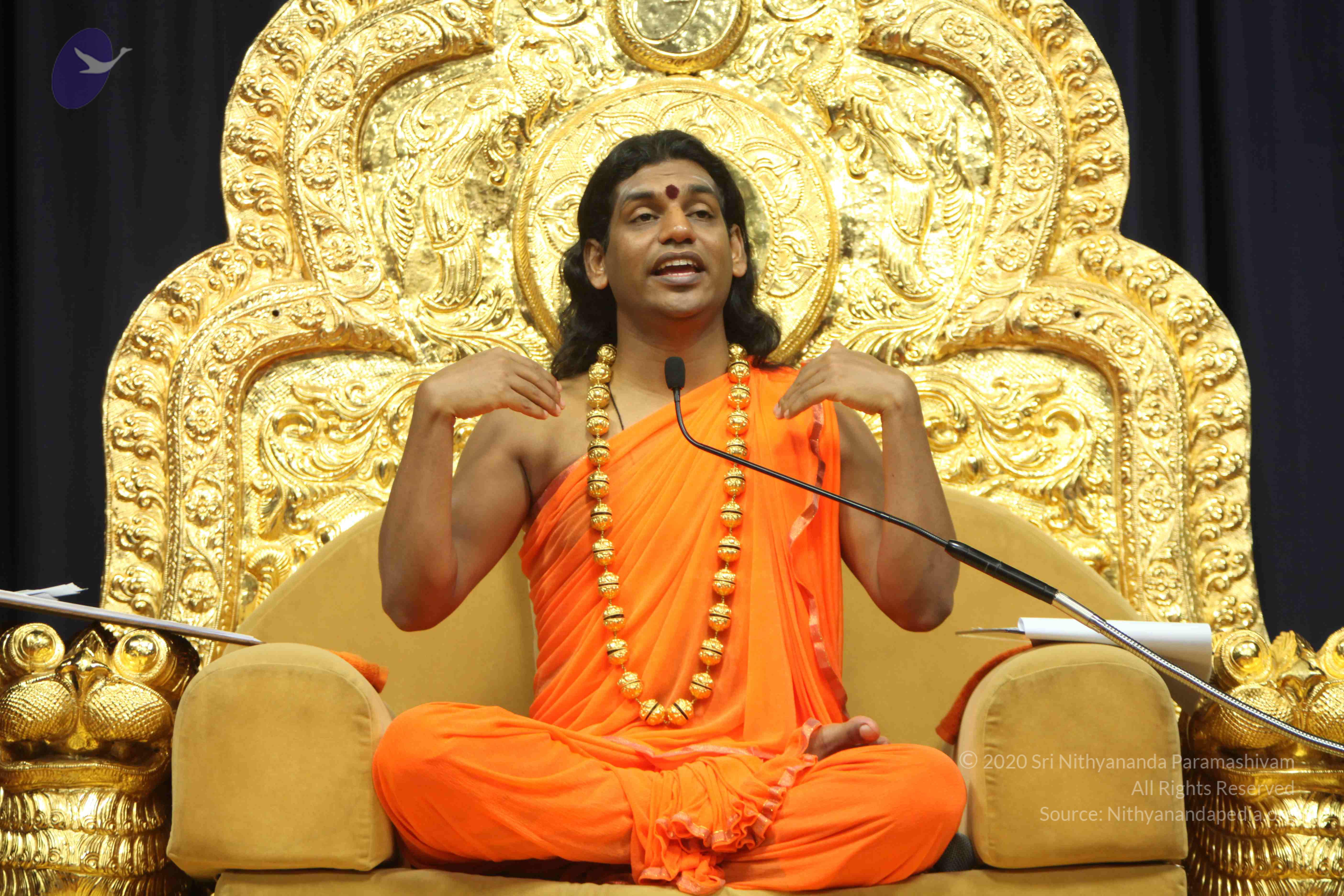 20110227_Photo_1062_IMG_9175_CMP_WM