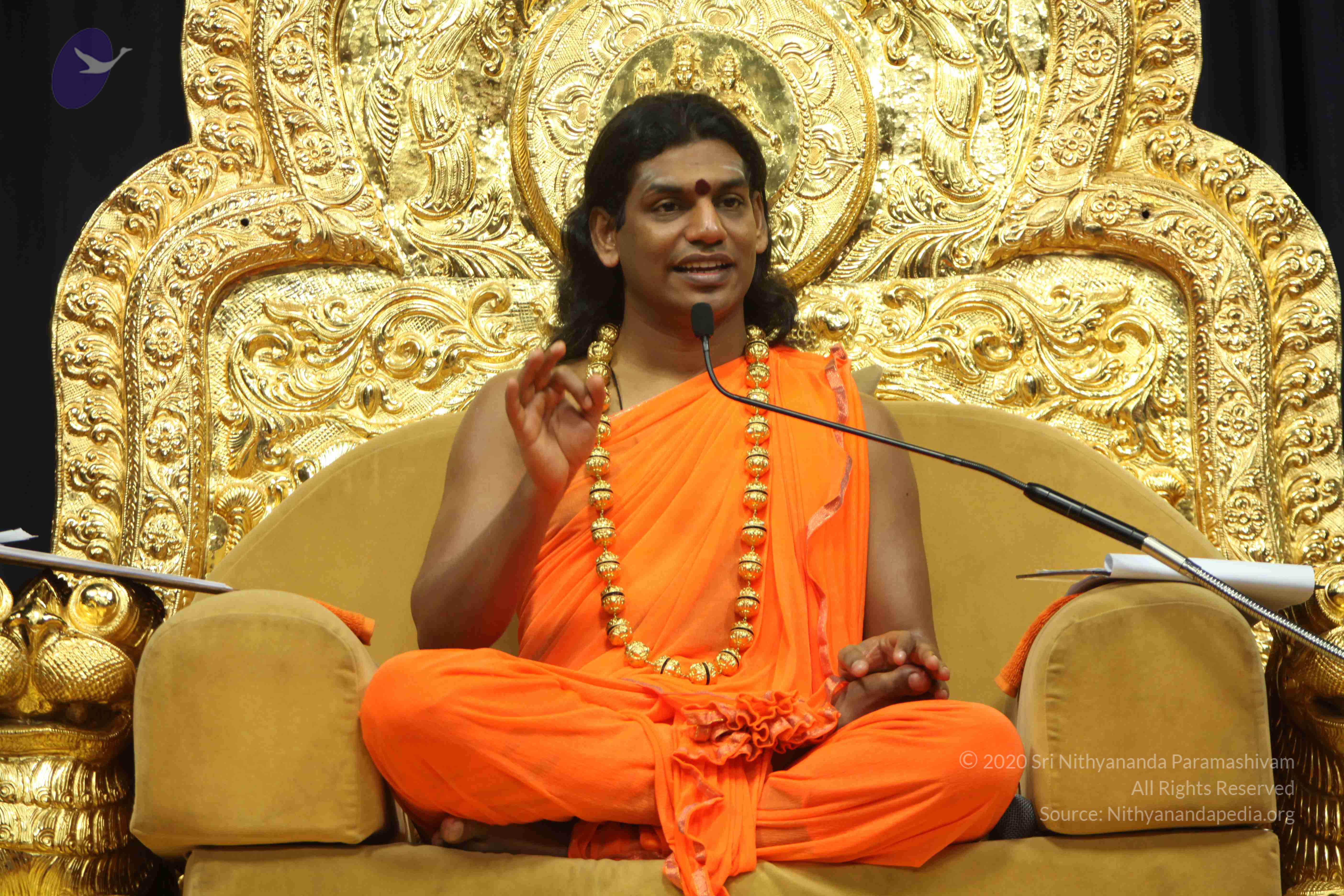 20110227_Photo_1065_IMG_9082_CMP_WM