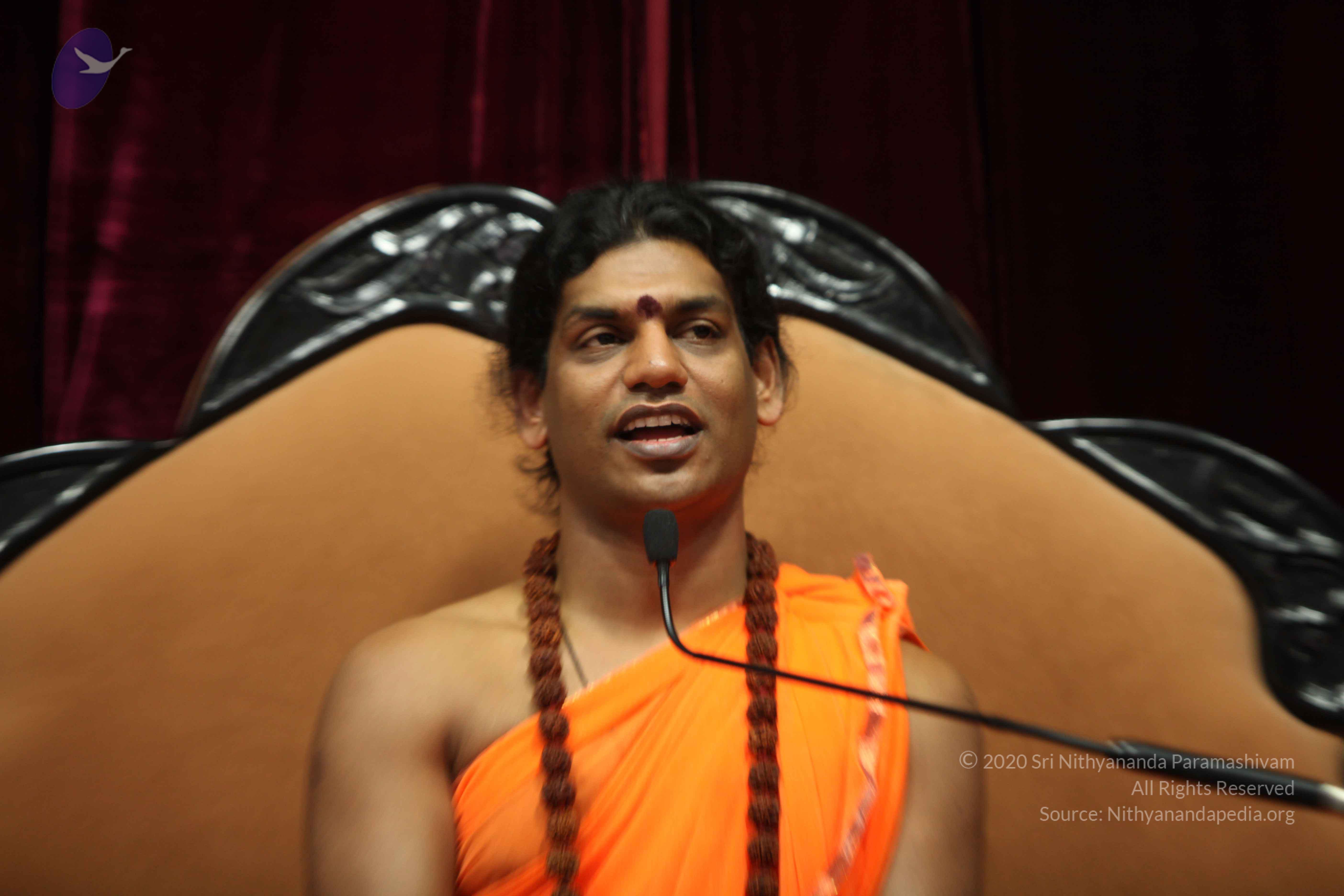 20110227_Photo_1070_IMG_9537_CMP_WM