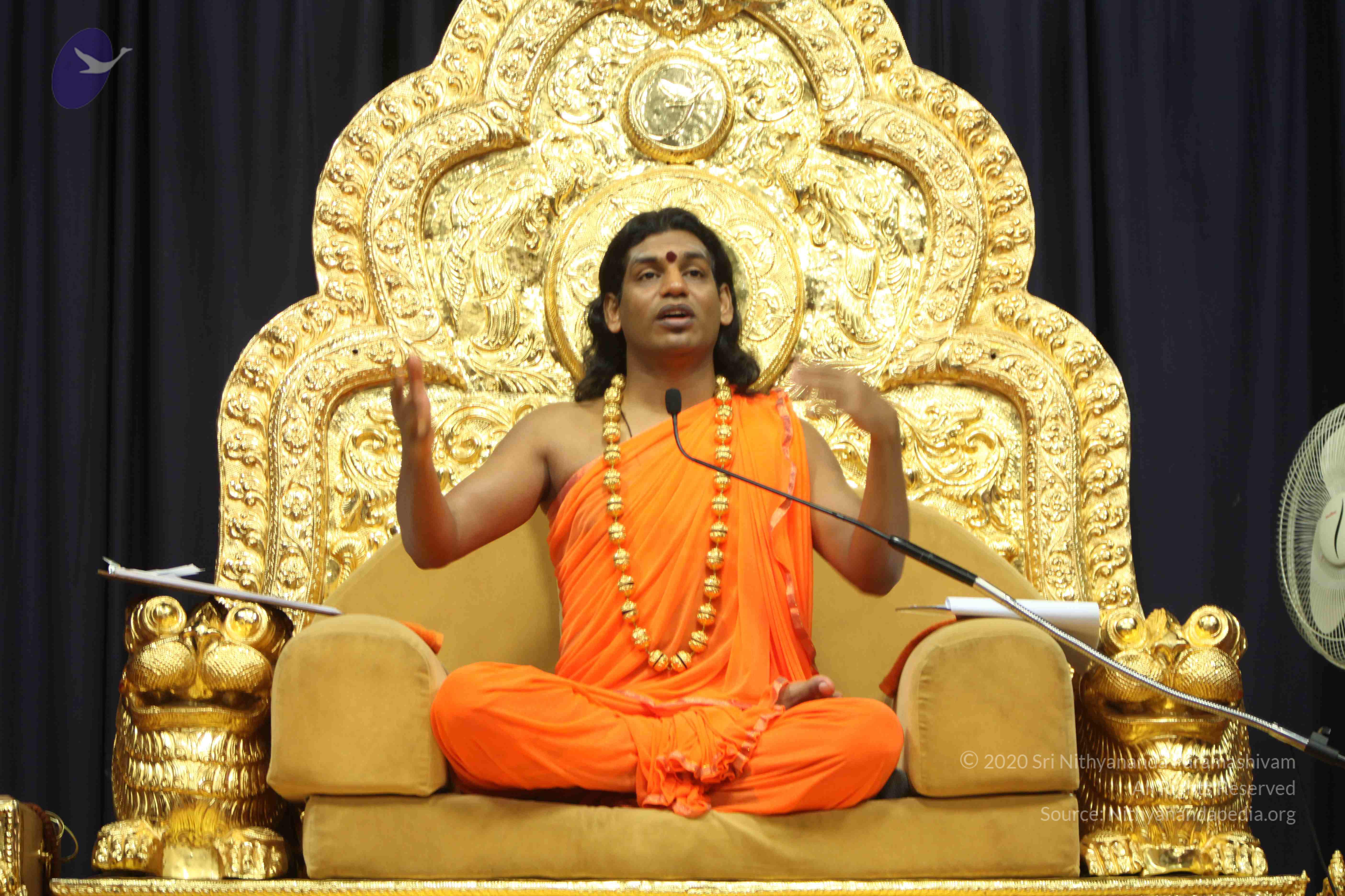 20110227_Photo_1075_IMG_9169_CMP_WM