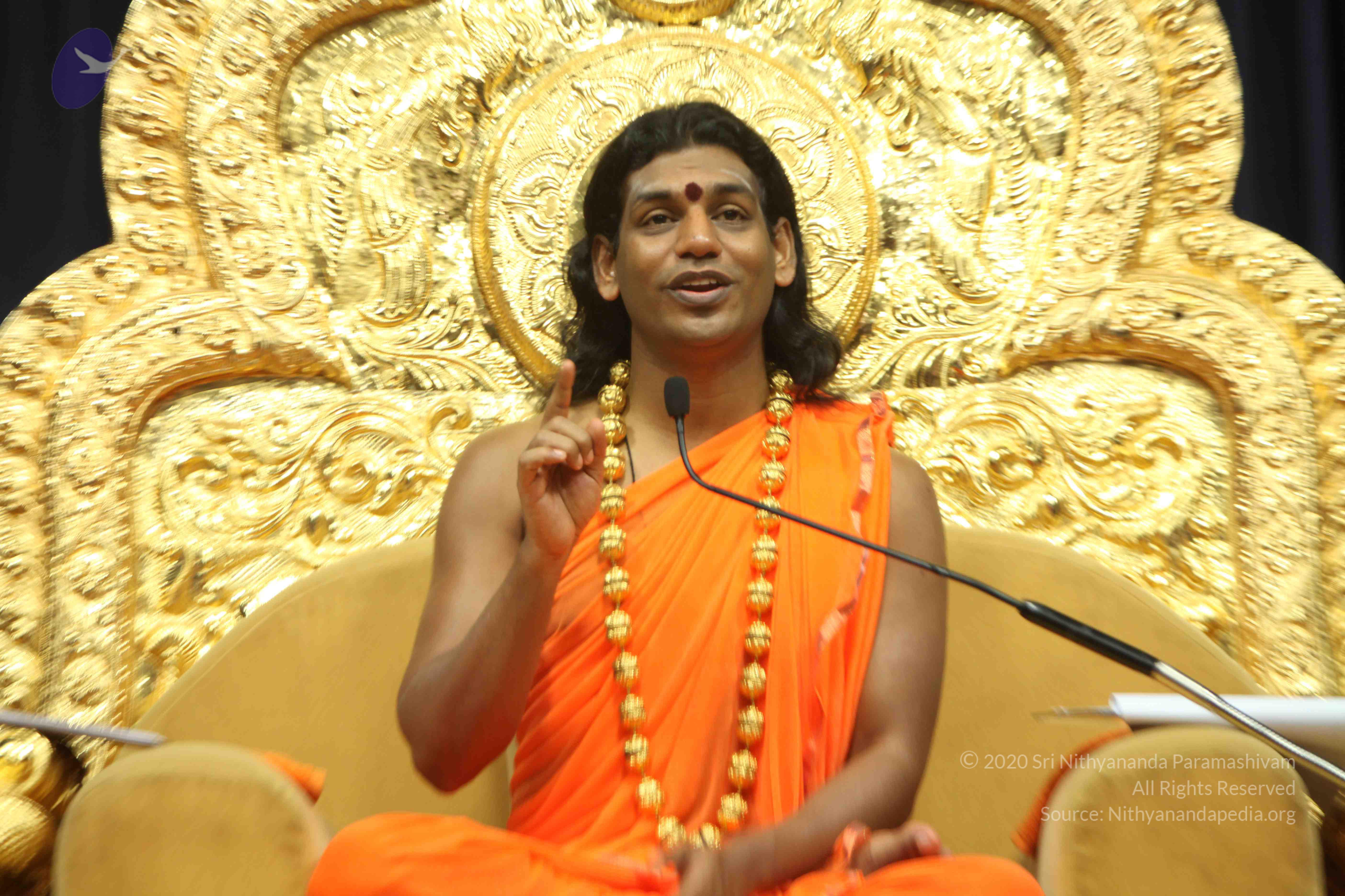 20110227_Photo_1078_IMG_9200_CMP_WM