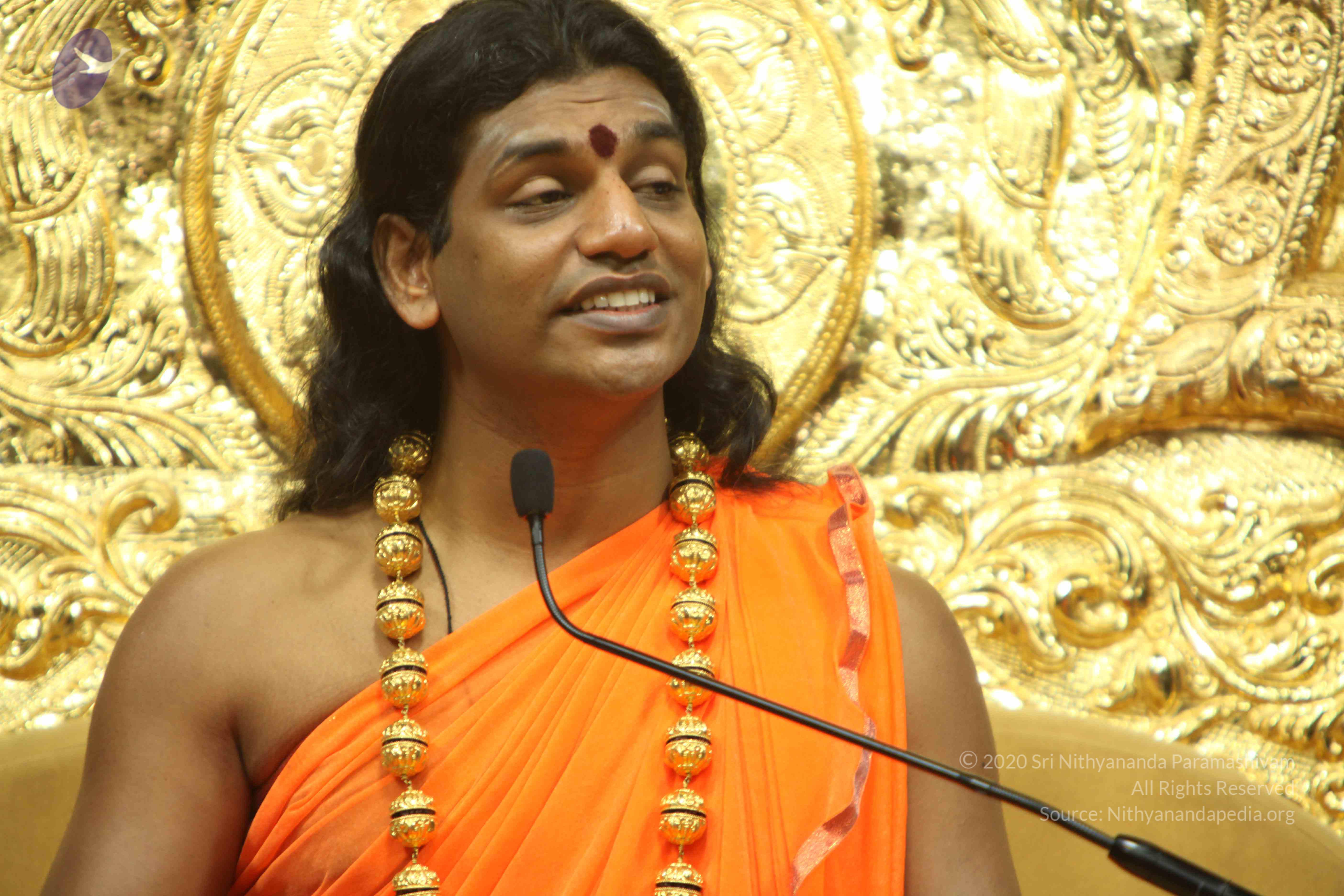 20110227_Photo_1079_IMG_9211_CMP_WM