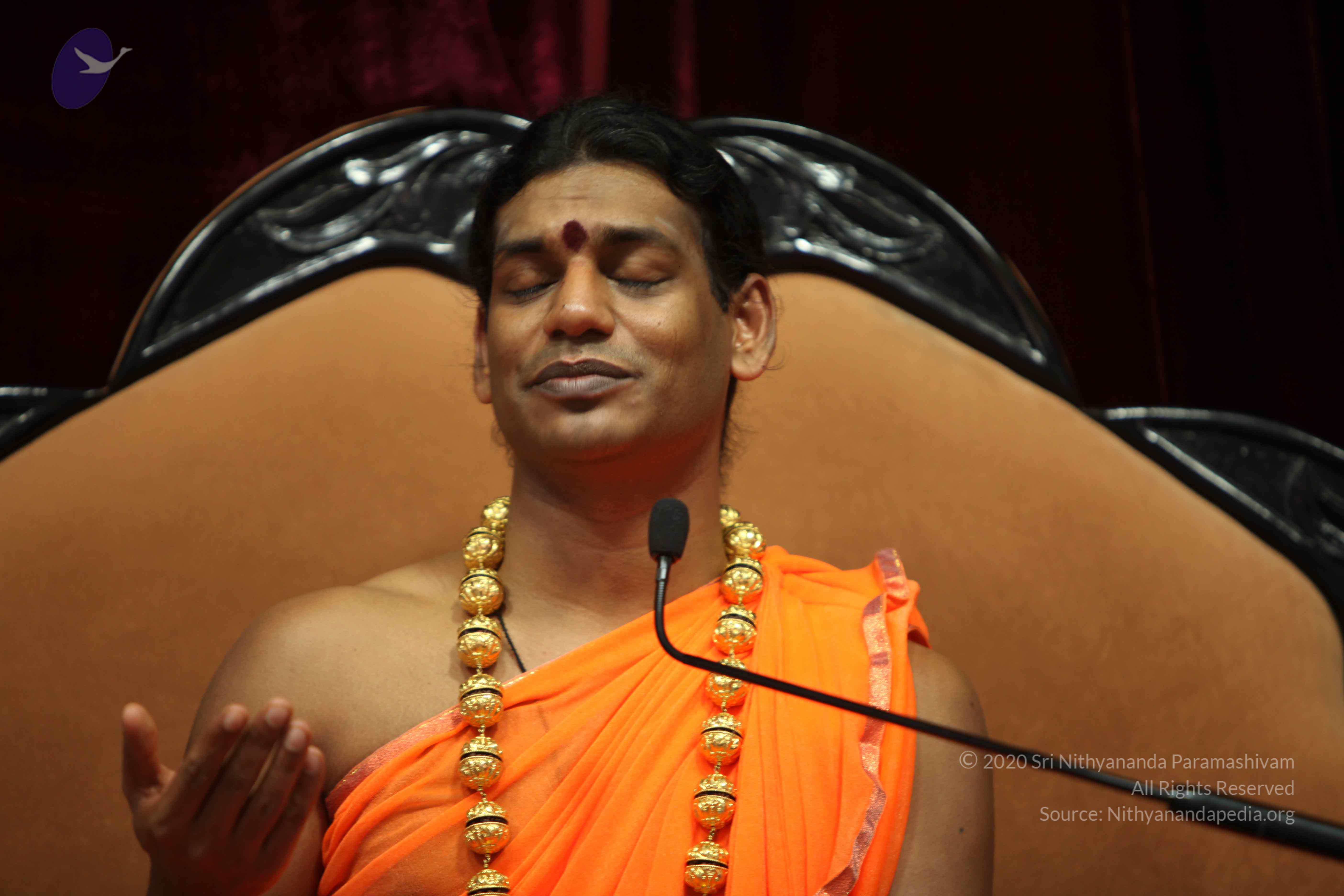 20110227_Photo_1082_IMG_9467_CMP_WM