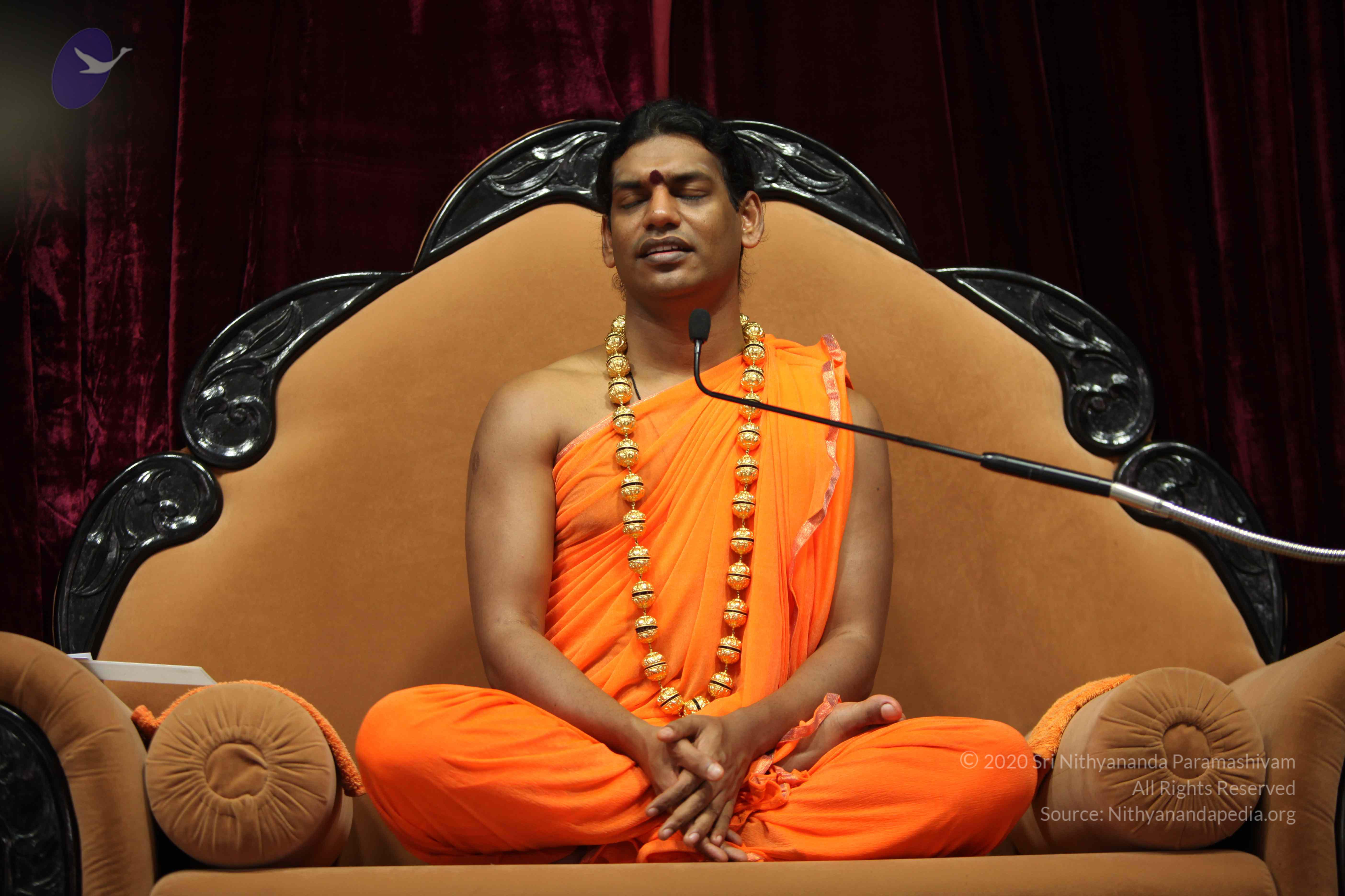 20110227_Photo_1091_IMG_9398_CMP_WM