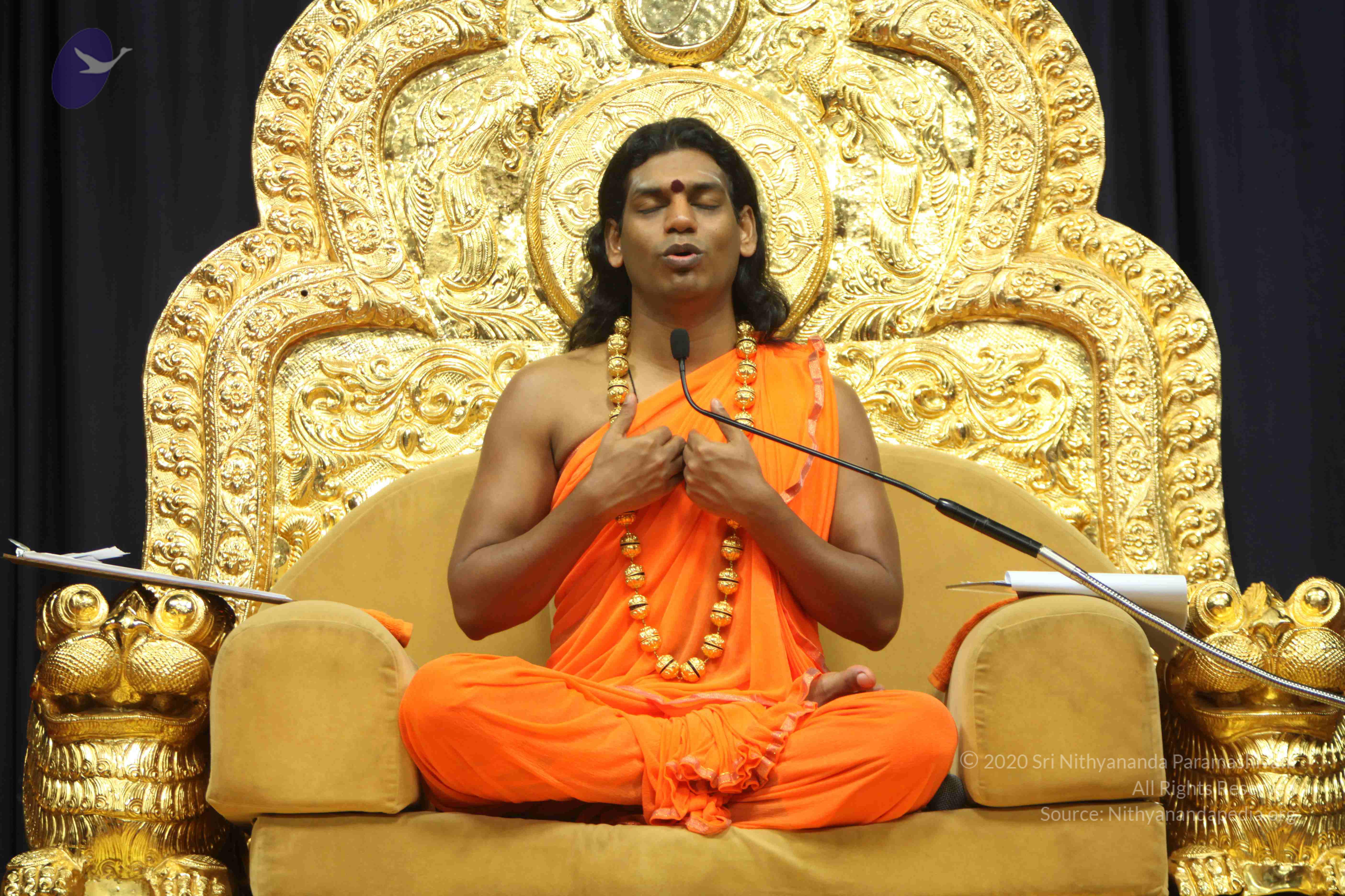 20110227_Photo_1092_IMG_9187_CMP_WM