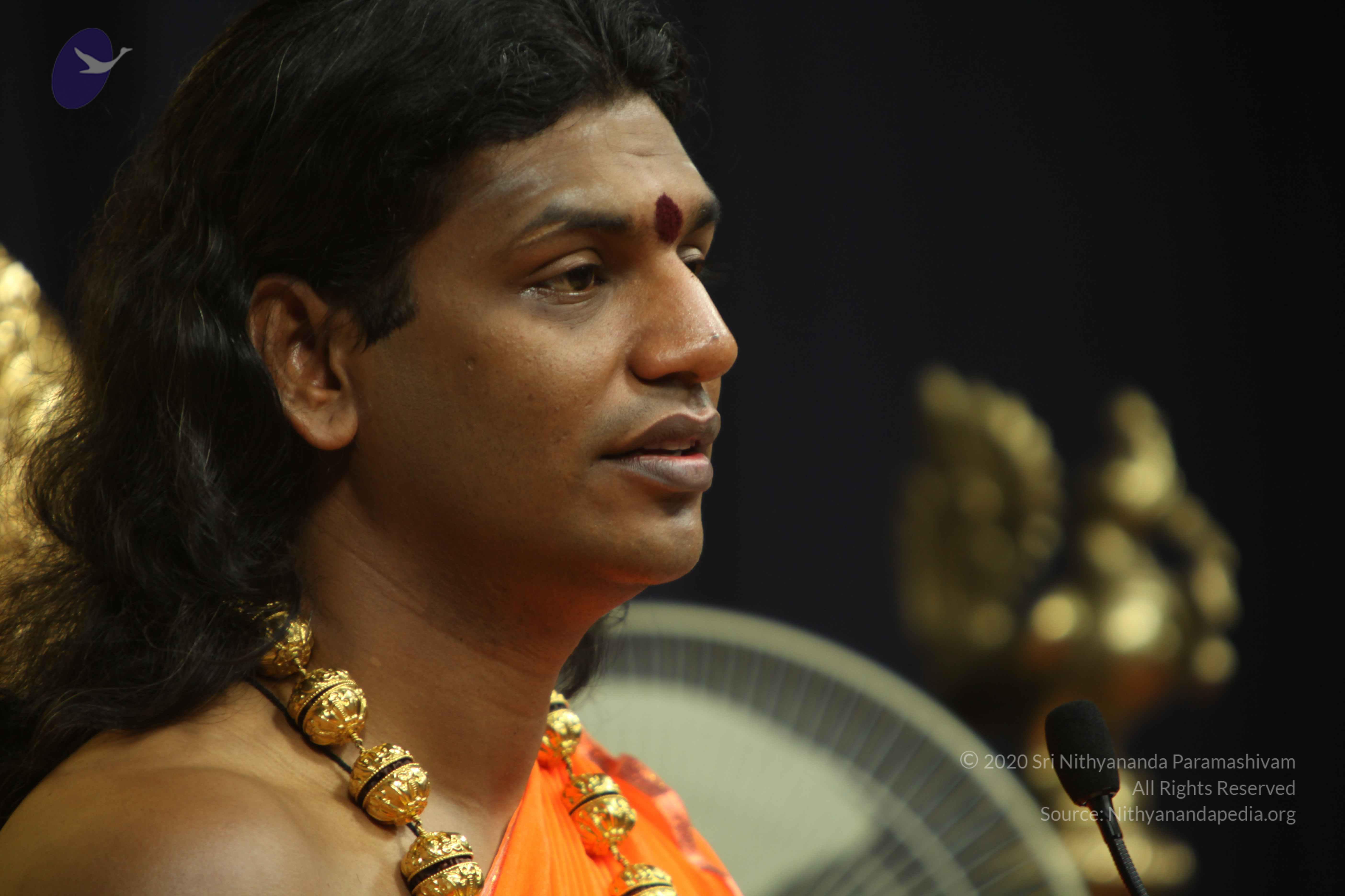 20110227_Photo_1097_IMG_9047_CMP_WM