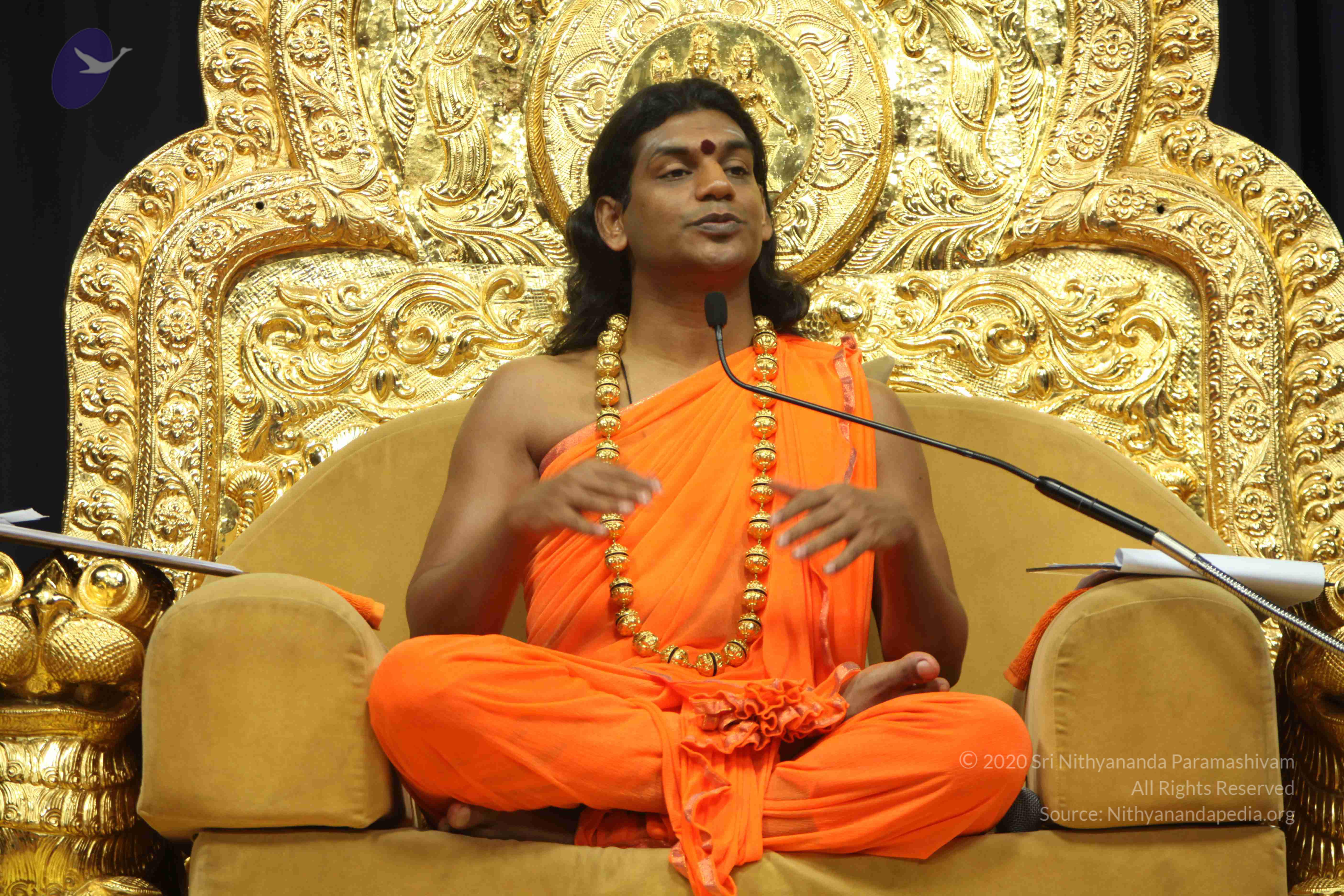 20110227_Photo_1110_IMG_9077_CMP_WM