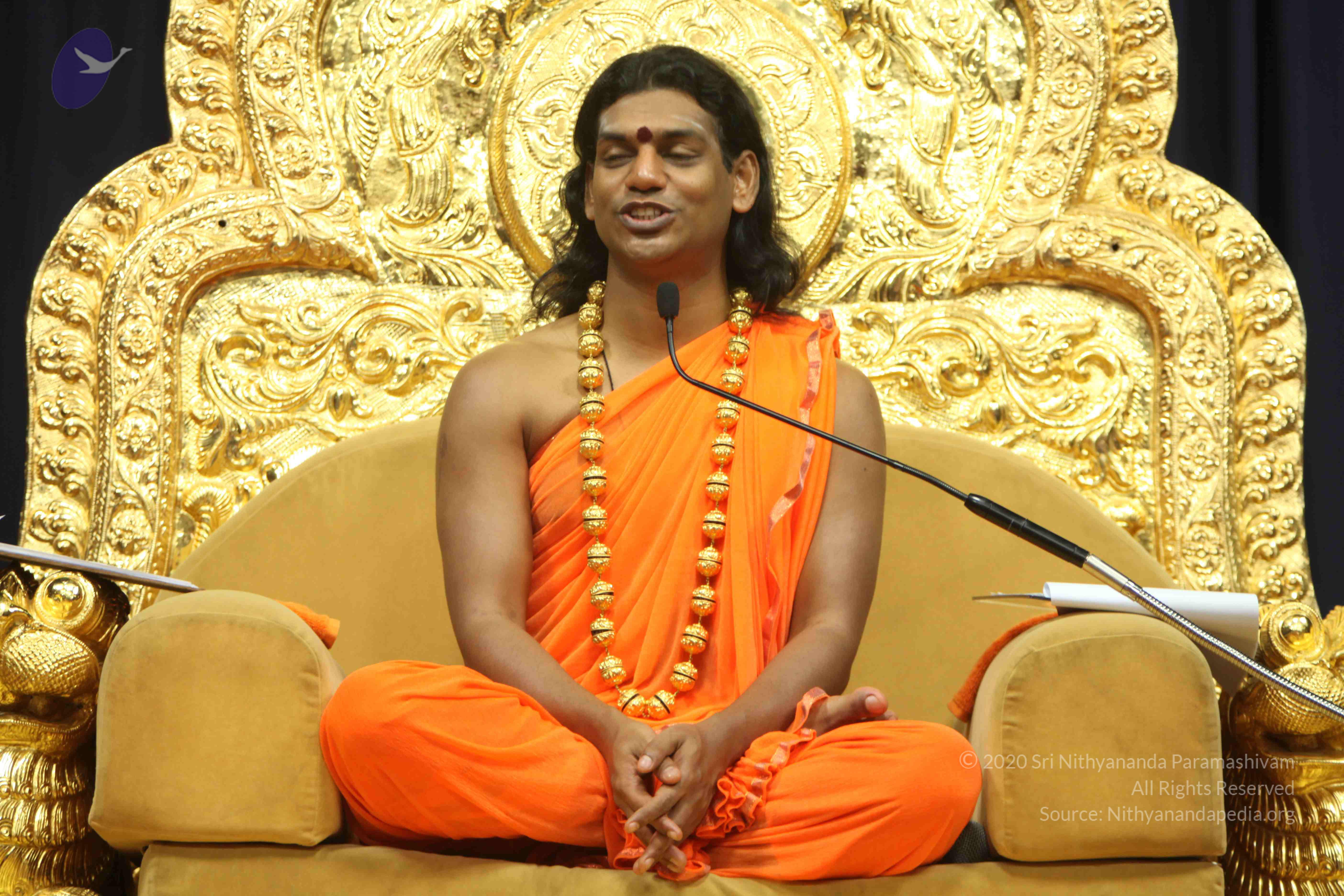 20110227_Photo_1112_IMG_9163_CMP_WM