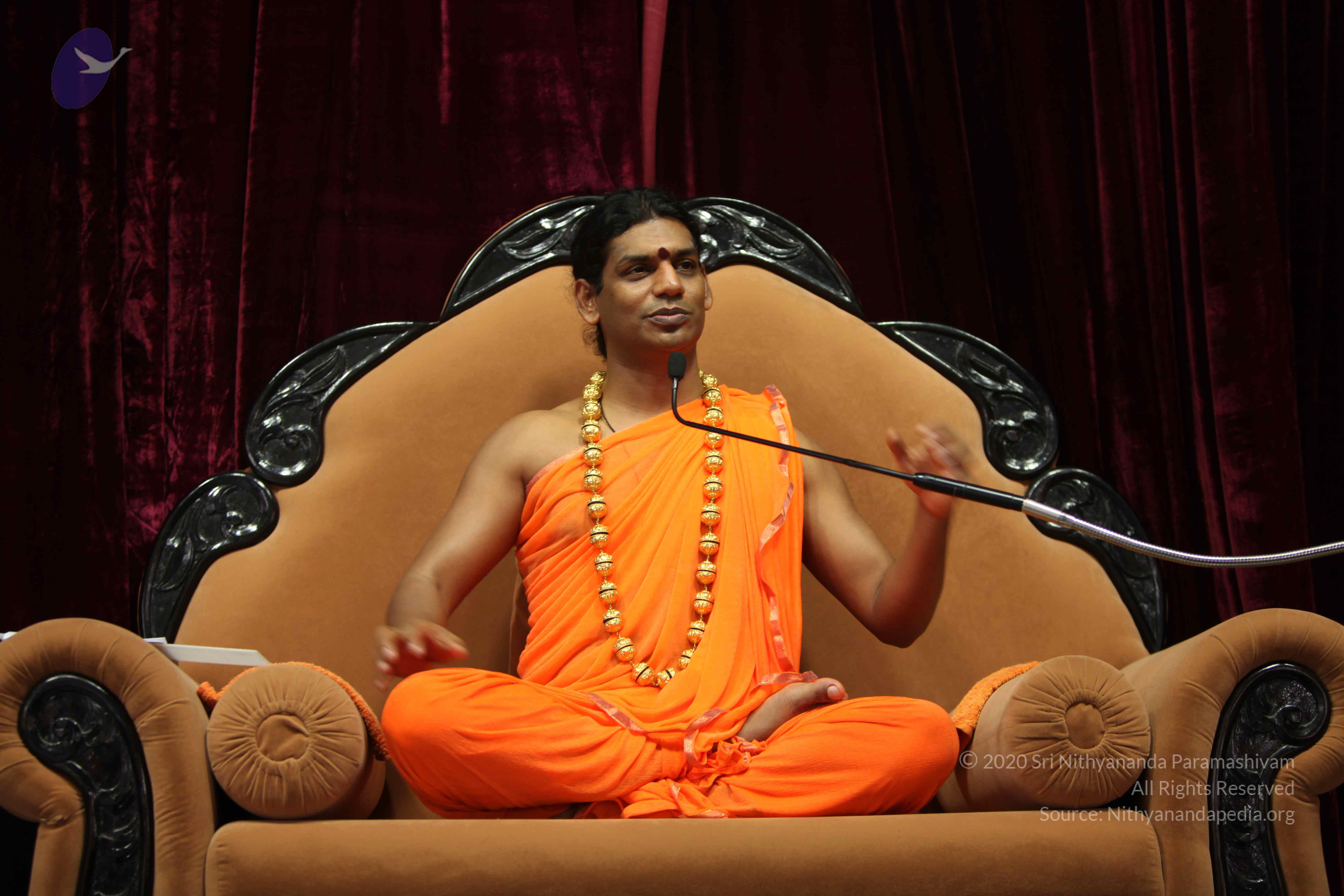 20110227_Photo_1115_IMG_9429_CMP_WM