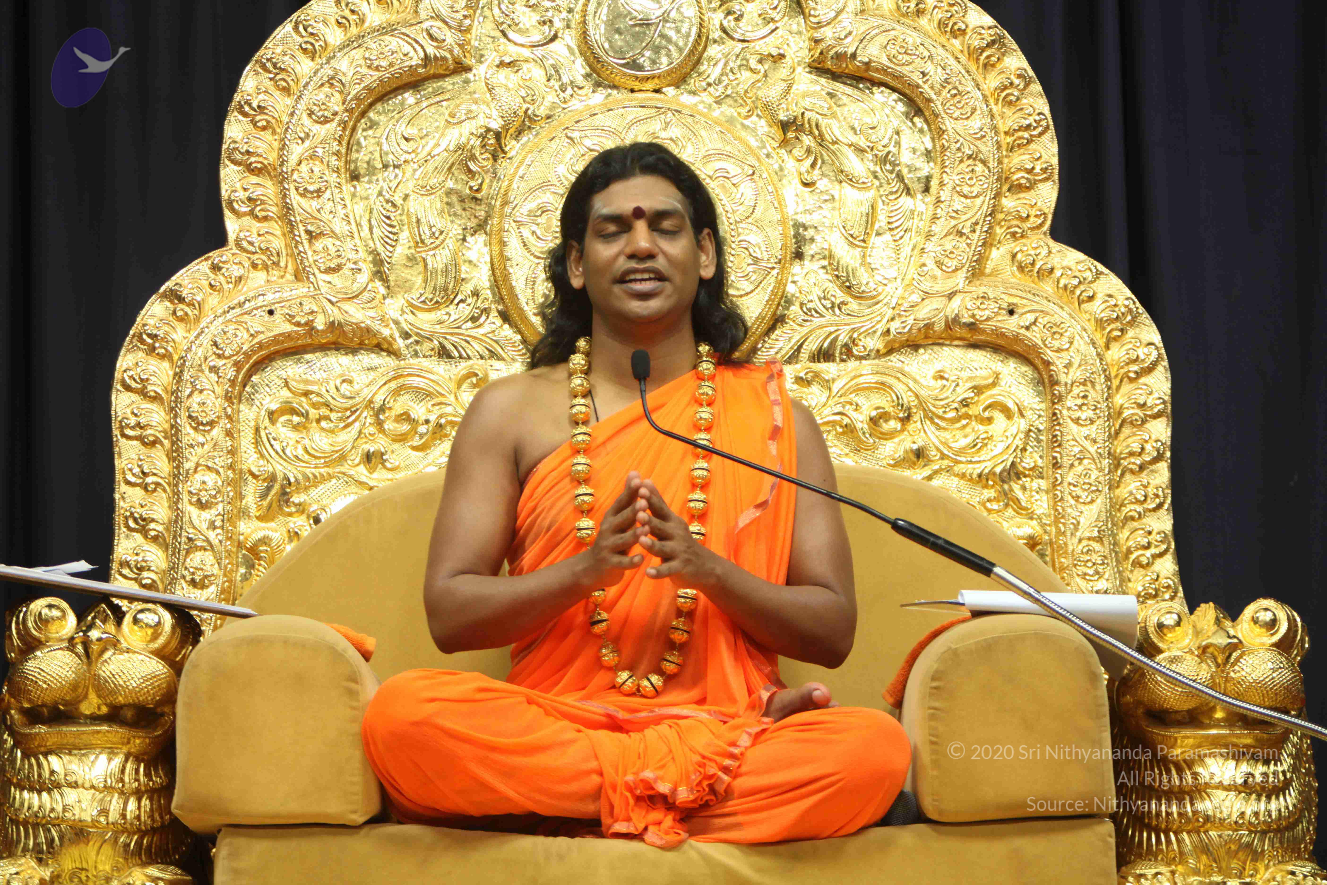 20110227_Photo_1118_IMG_9180_CMP_WM