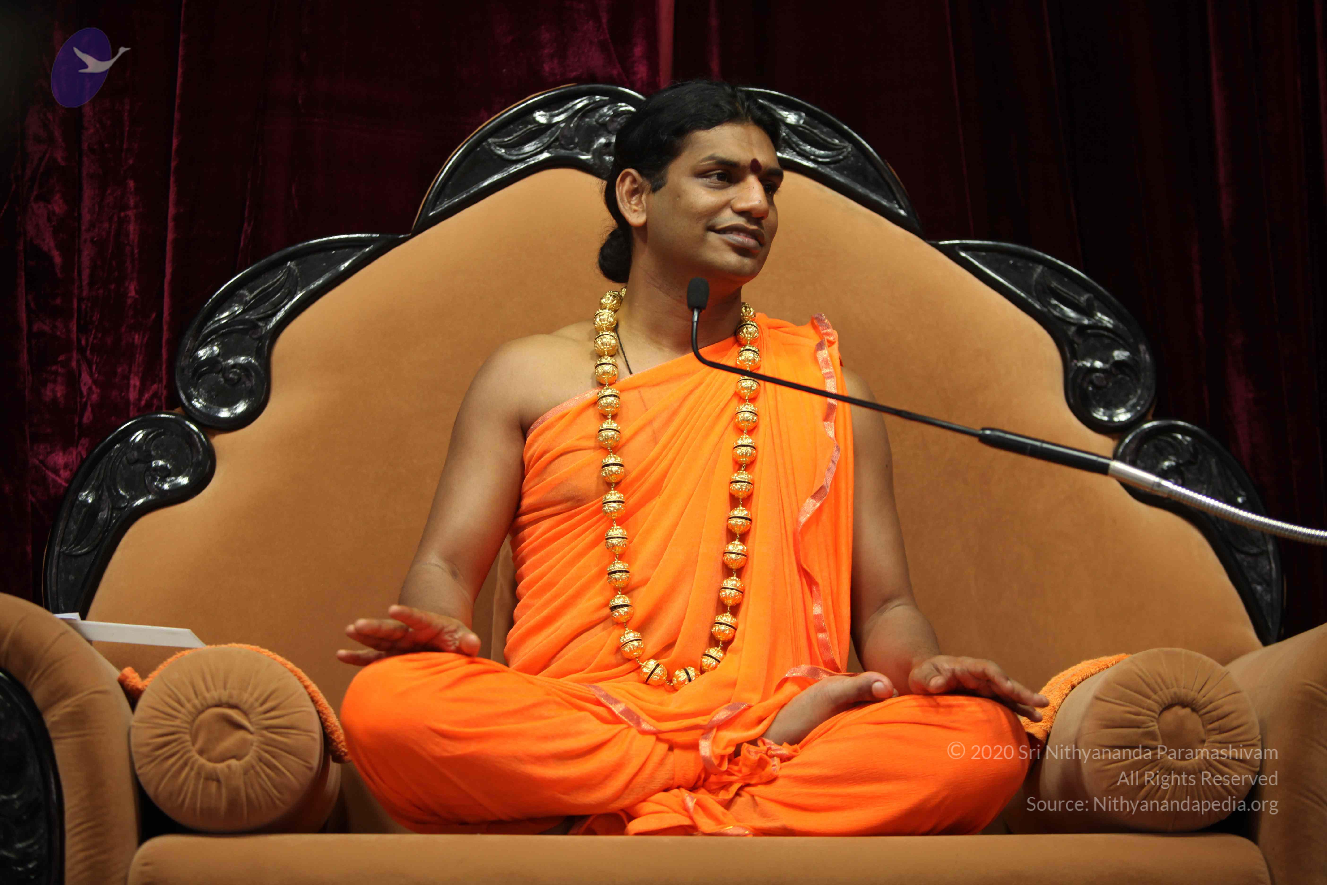 20110227_Photo_1120_IMG_9460_CMP_WM