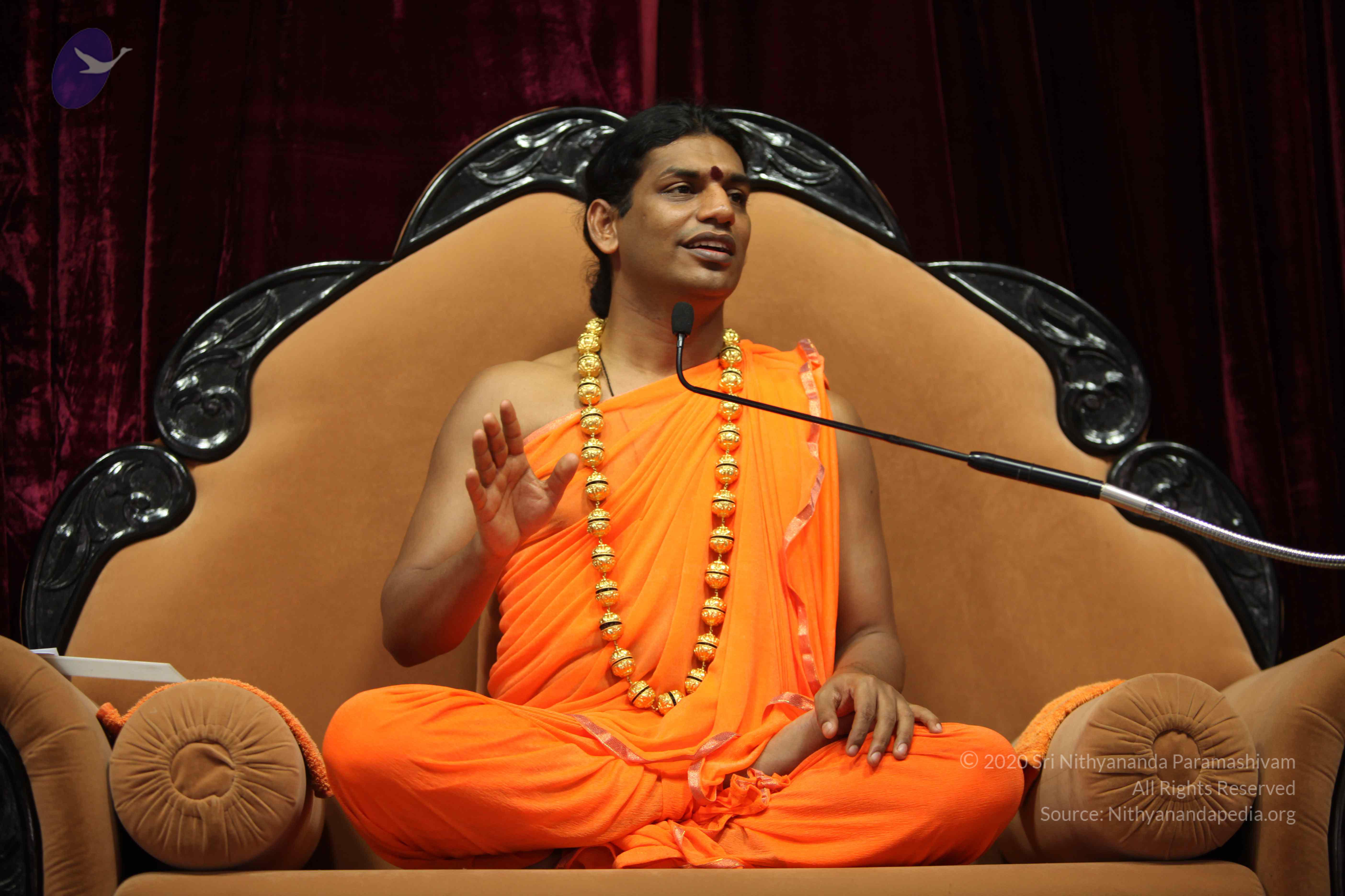 20110227_Photo_1122_IMG_9457_CMP_WM