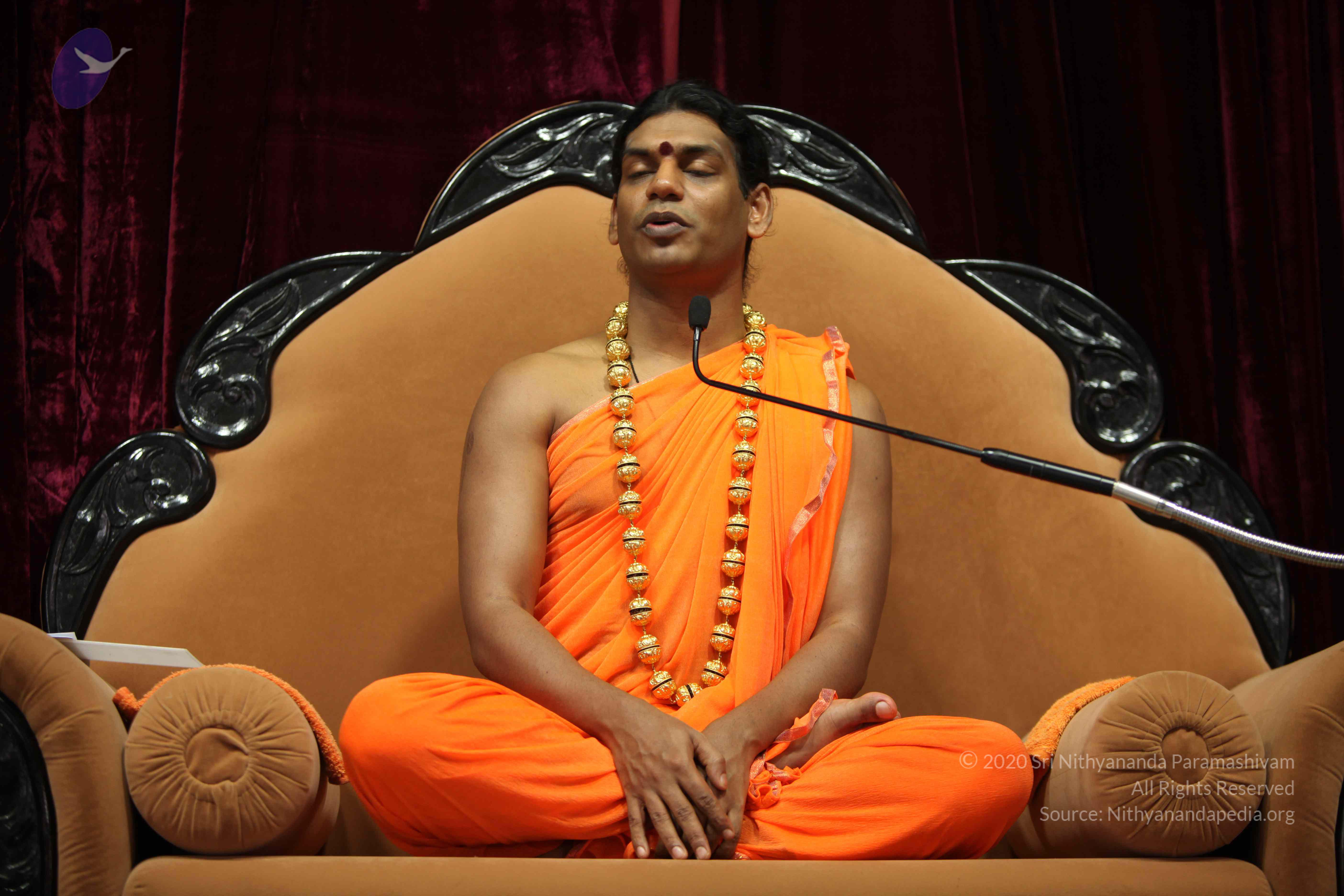 20110227_Photo_1126_IMG_9402_CMP_WM