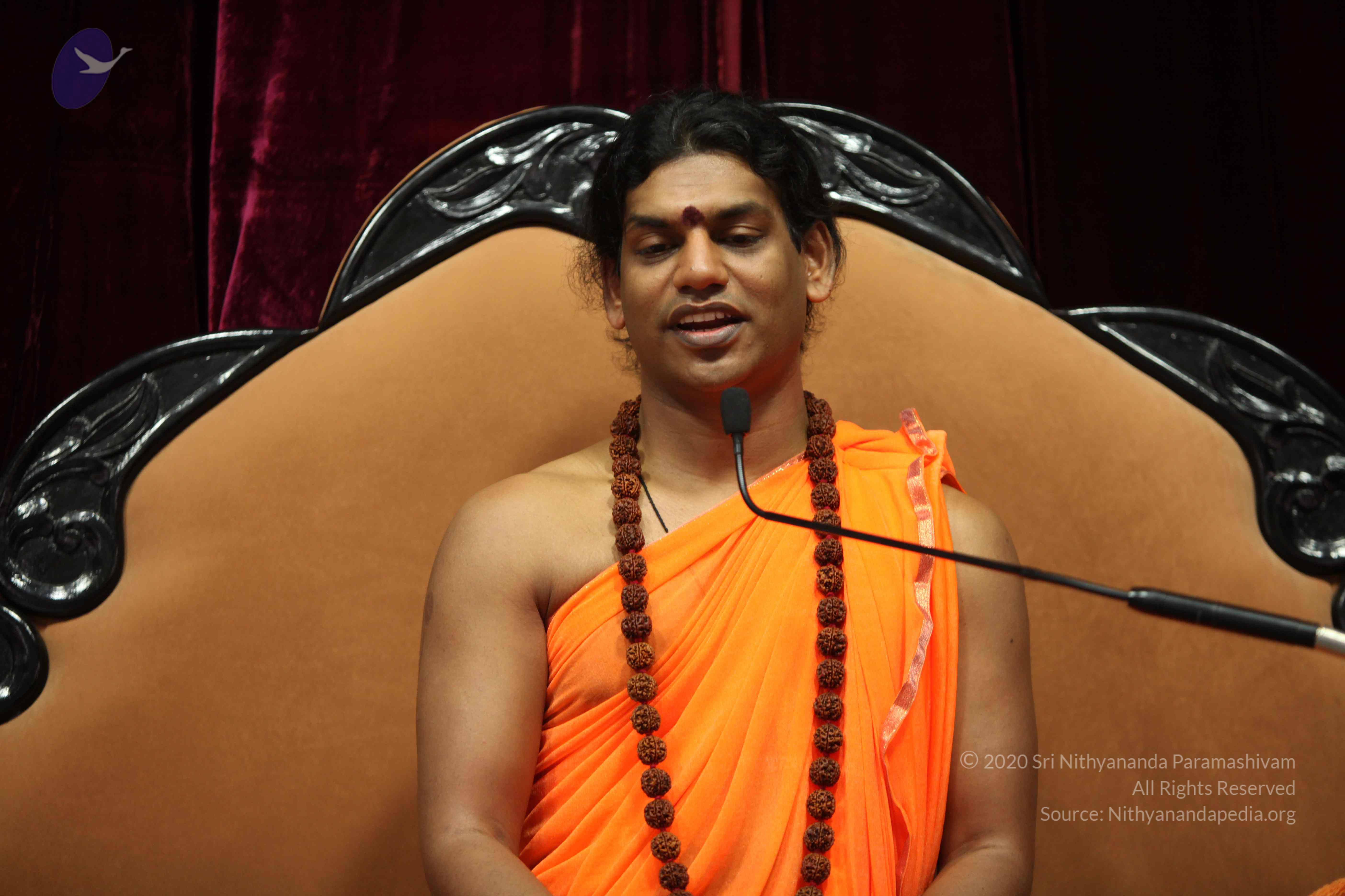 20110227_Photo_1131_IMG_9530_CMP_WM