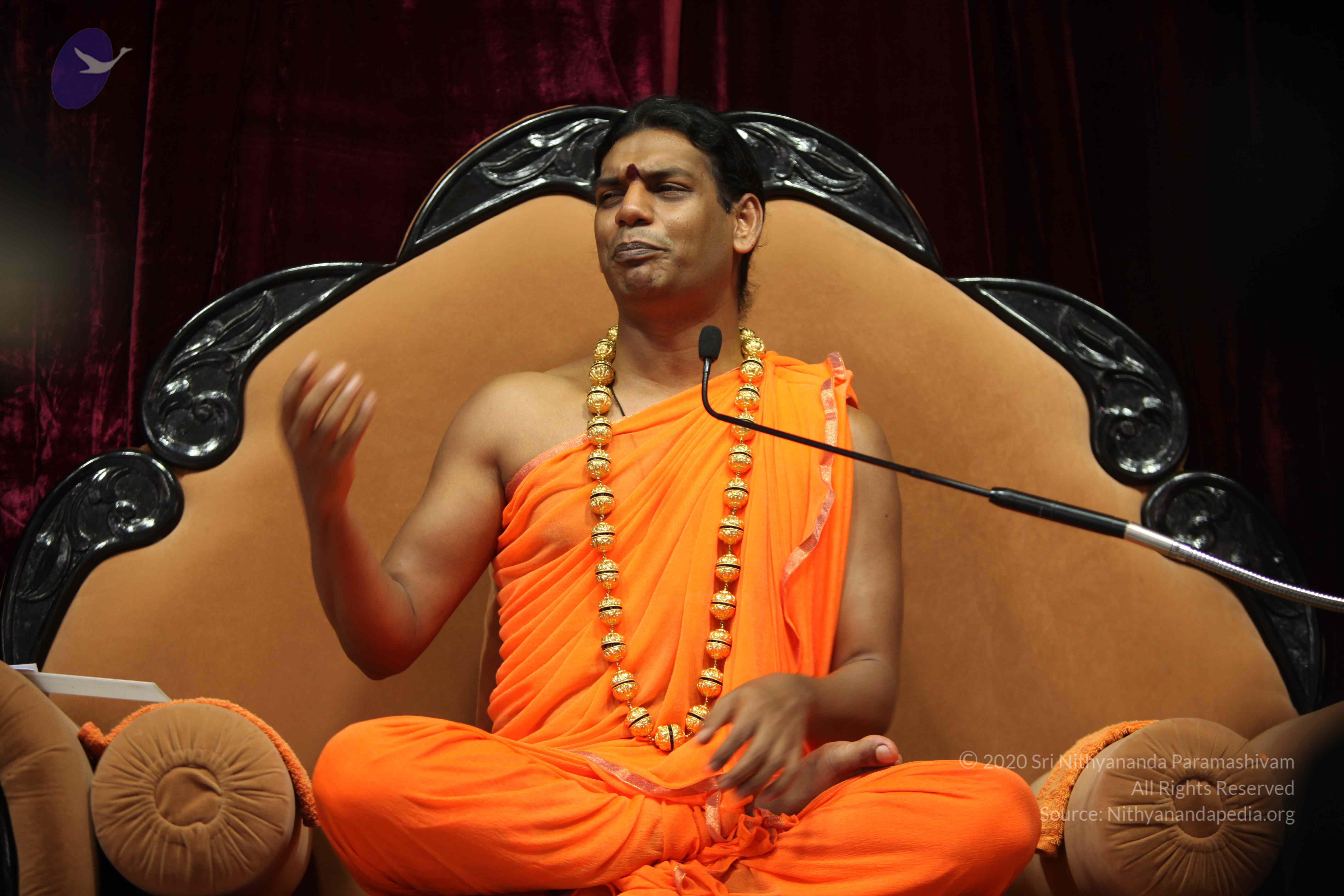 20110227_Photo_1141_IMG_9471_CMP_WM