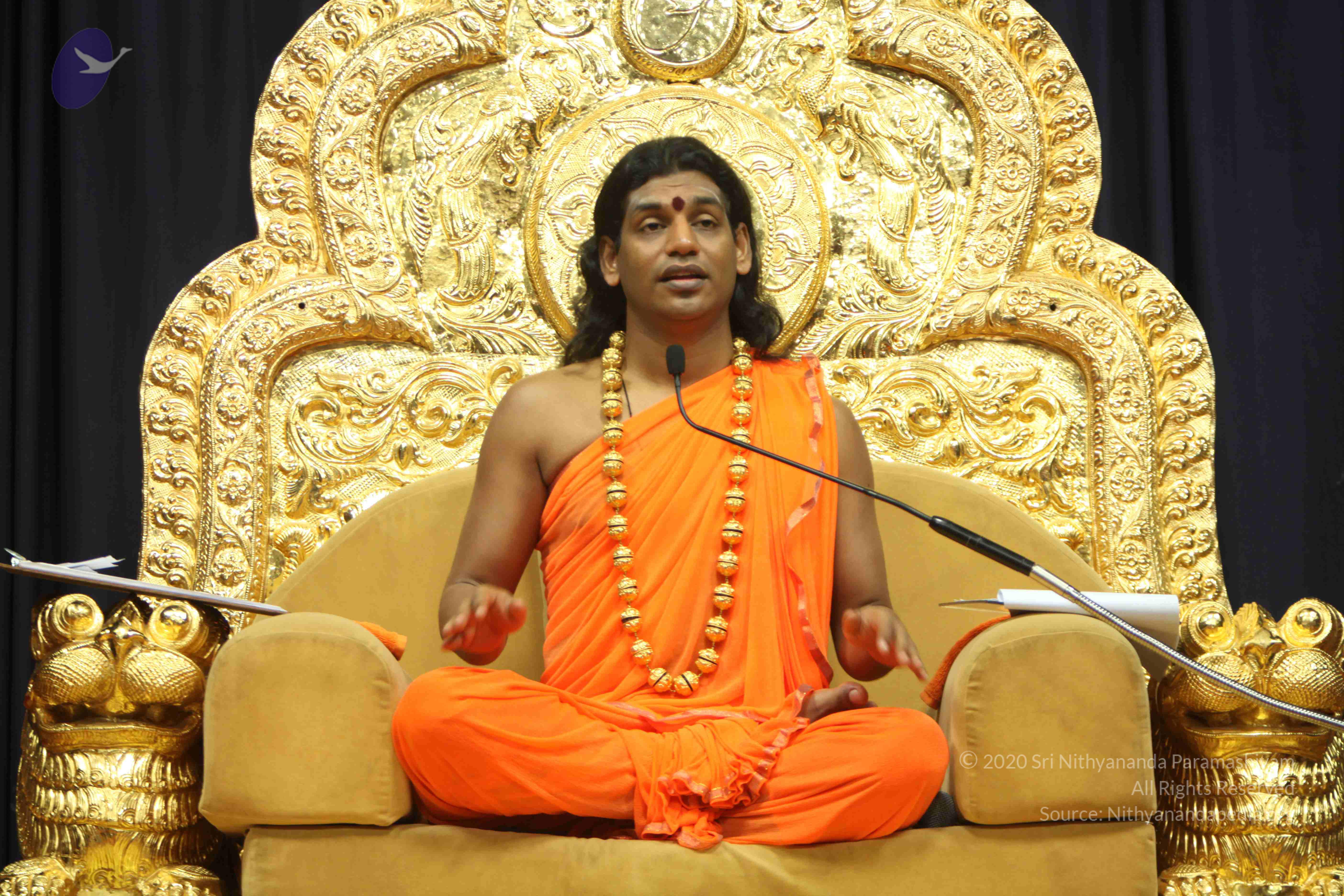 20110227_Photo_1142_IMG_9191_CMP_WM