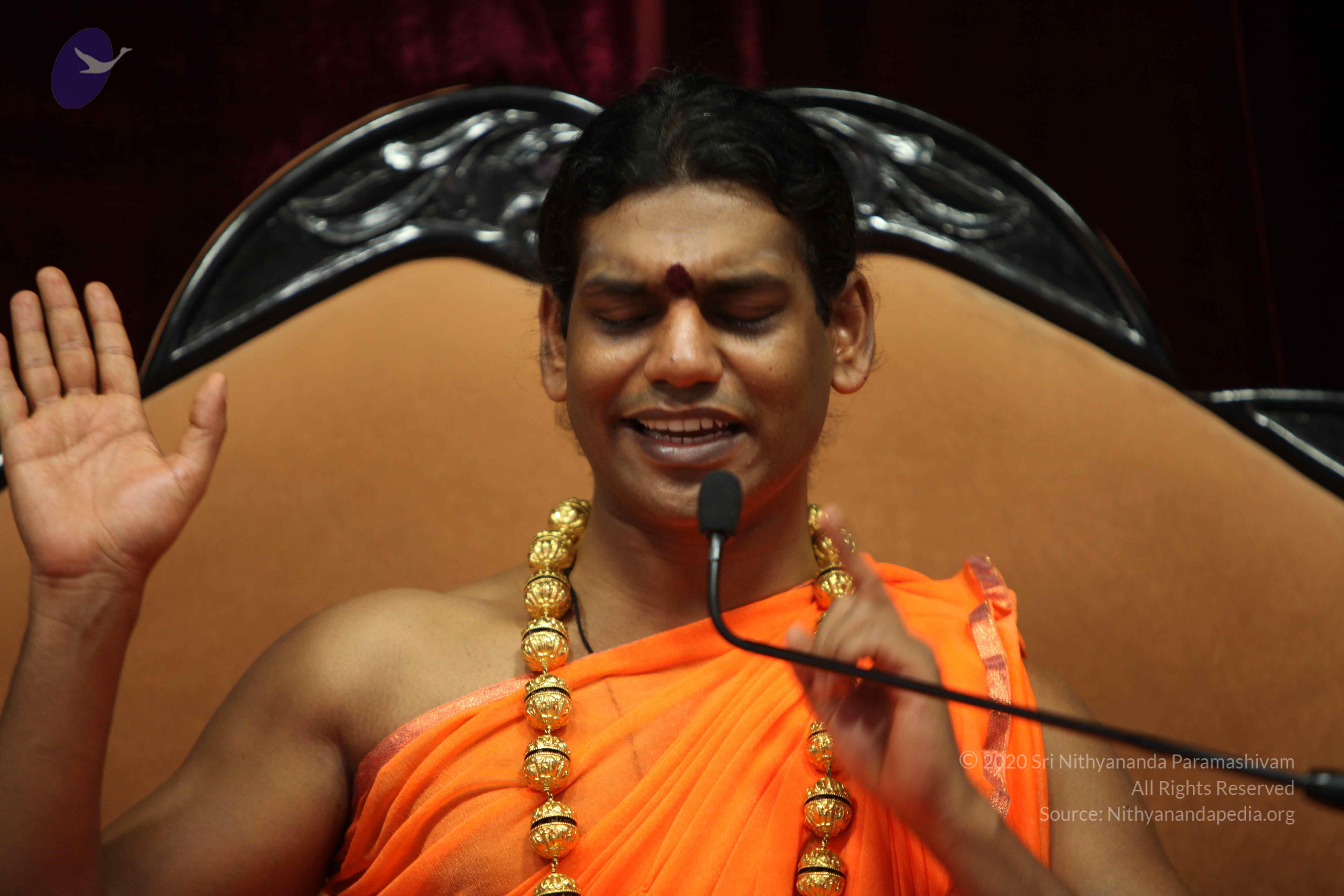 20110227_Photo_1145_IMG_9438_CMP_WM