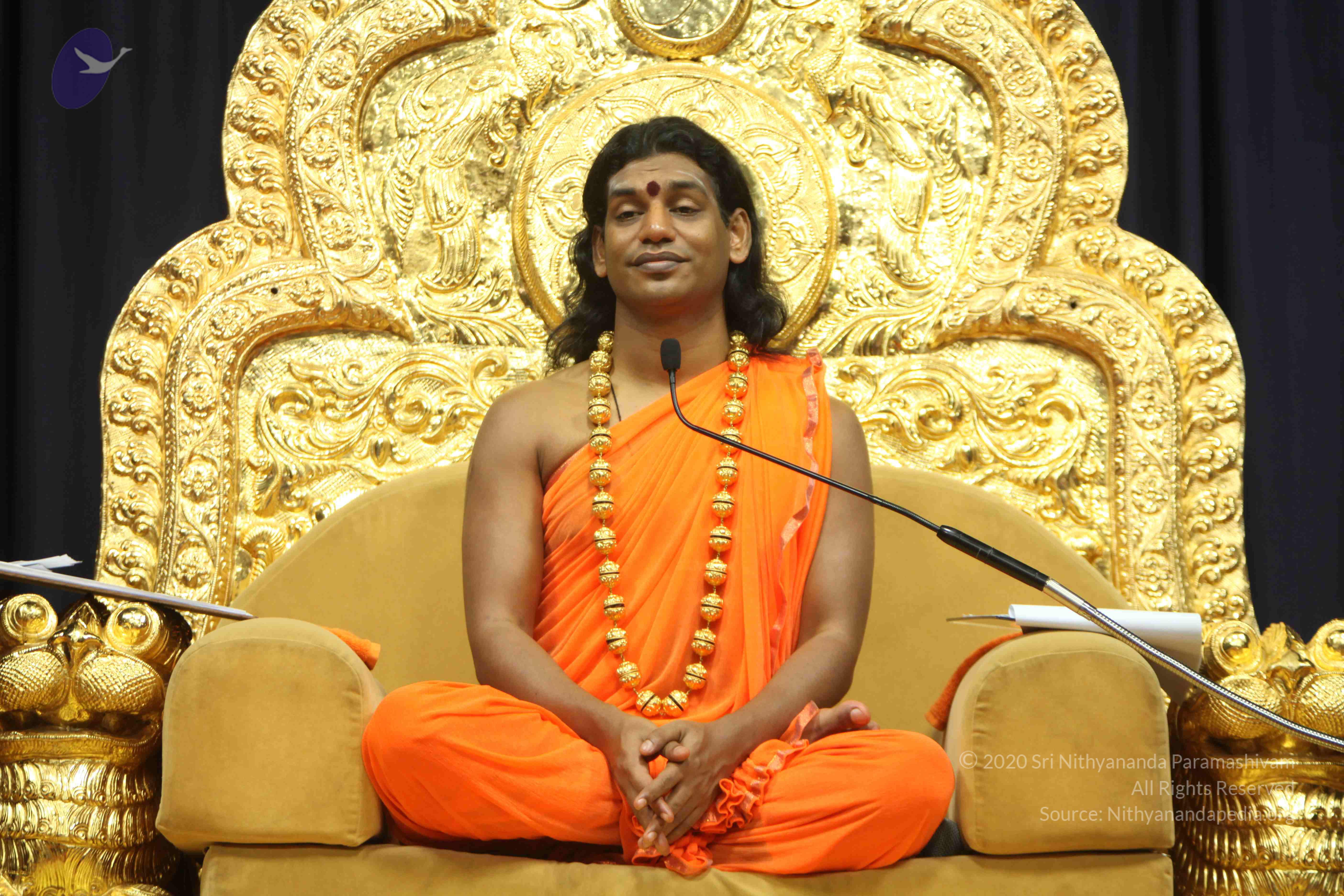 20110227_Photo_1146_IMG_9127_CMP_WM