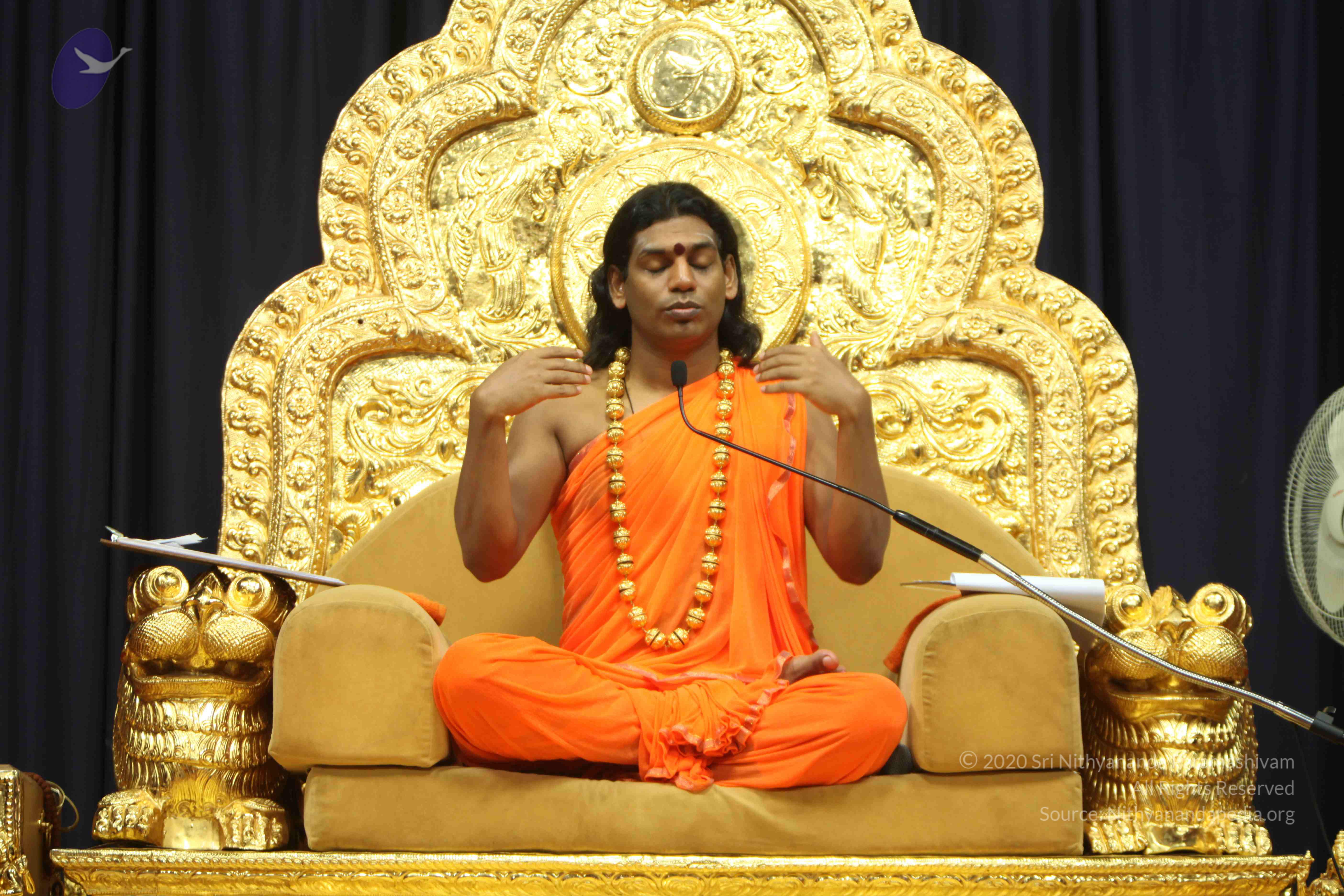 20110227_Photo_1149_IMG_9172_CMP_WM