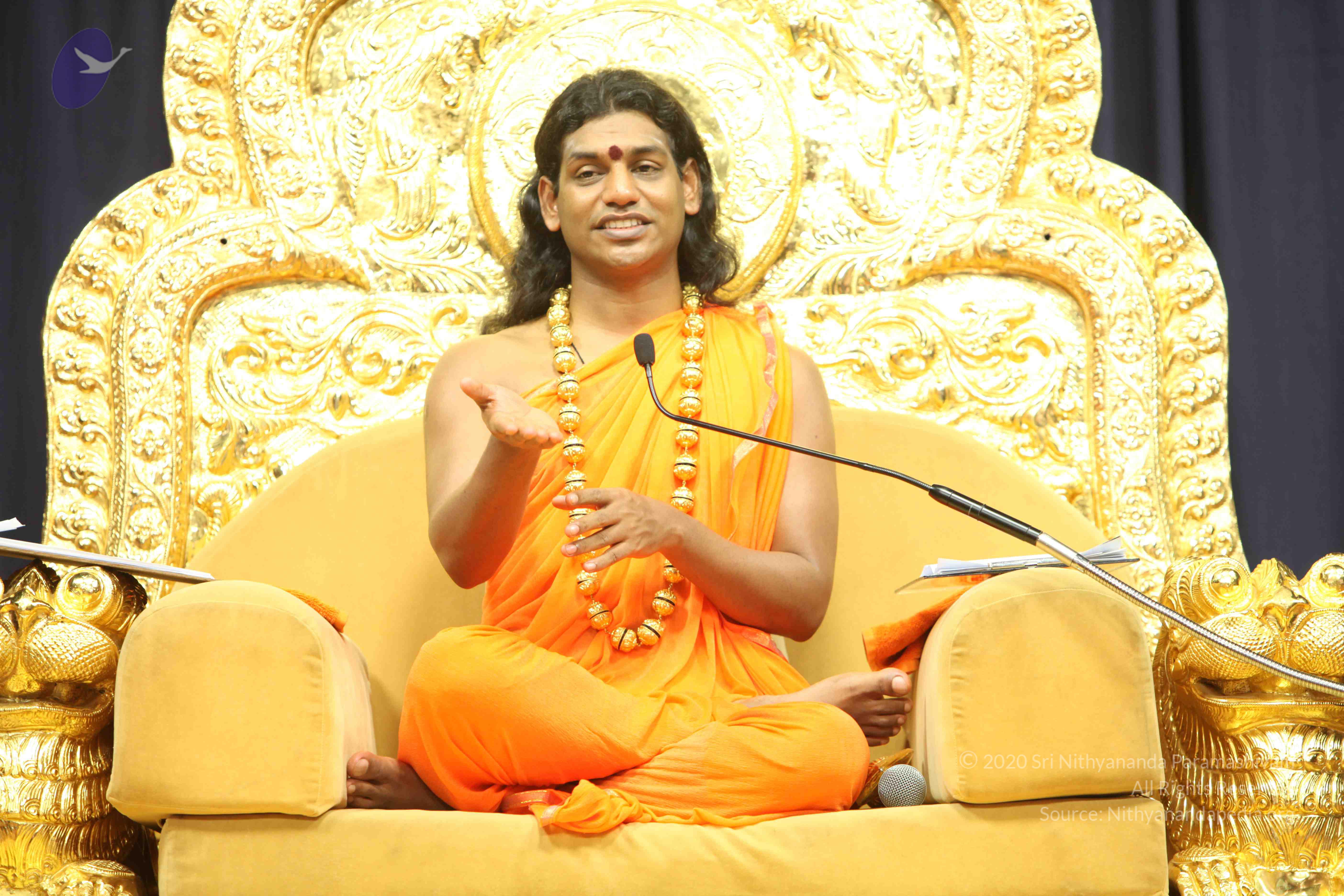 20110227_Photo_1154_IMG_9286_CMP_WM