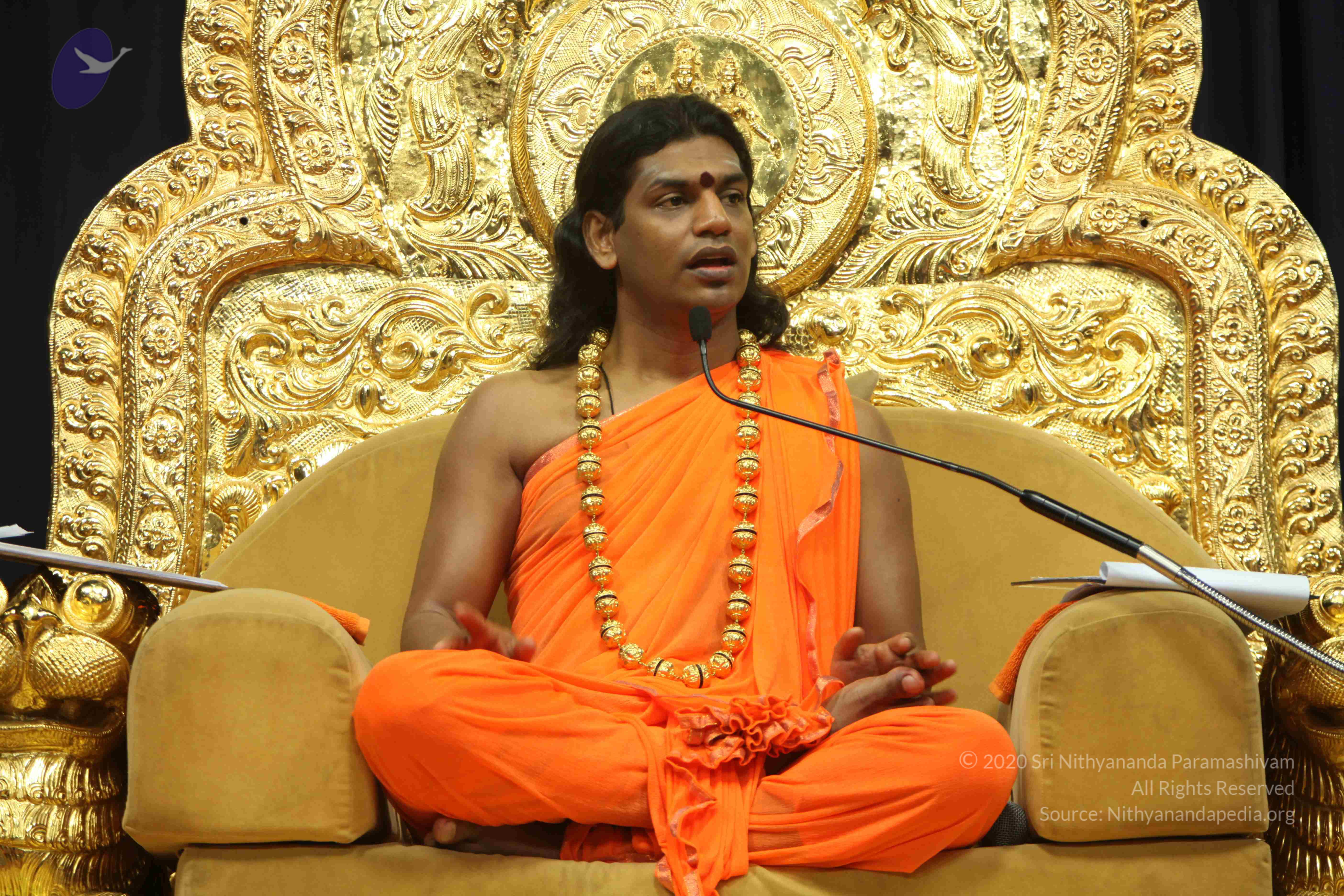 20110227_Photo_1155_IMG_9080_CMP_WM