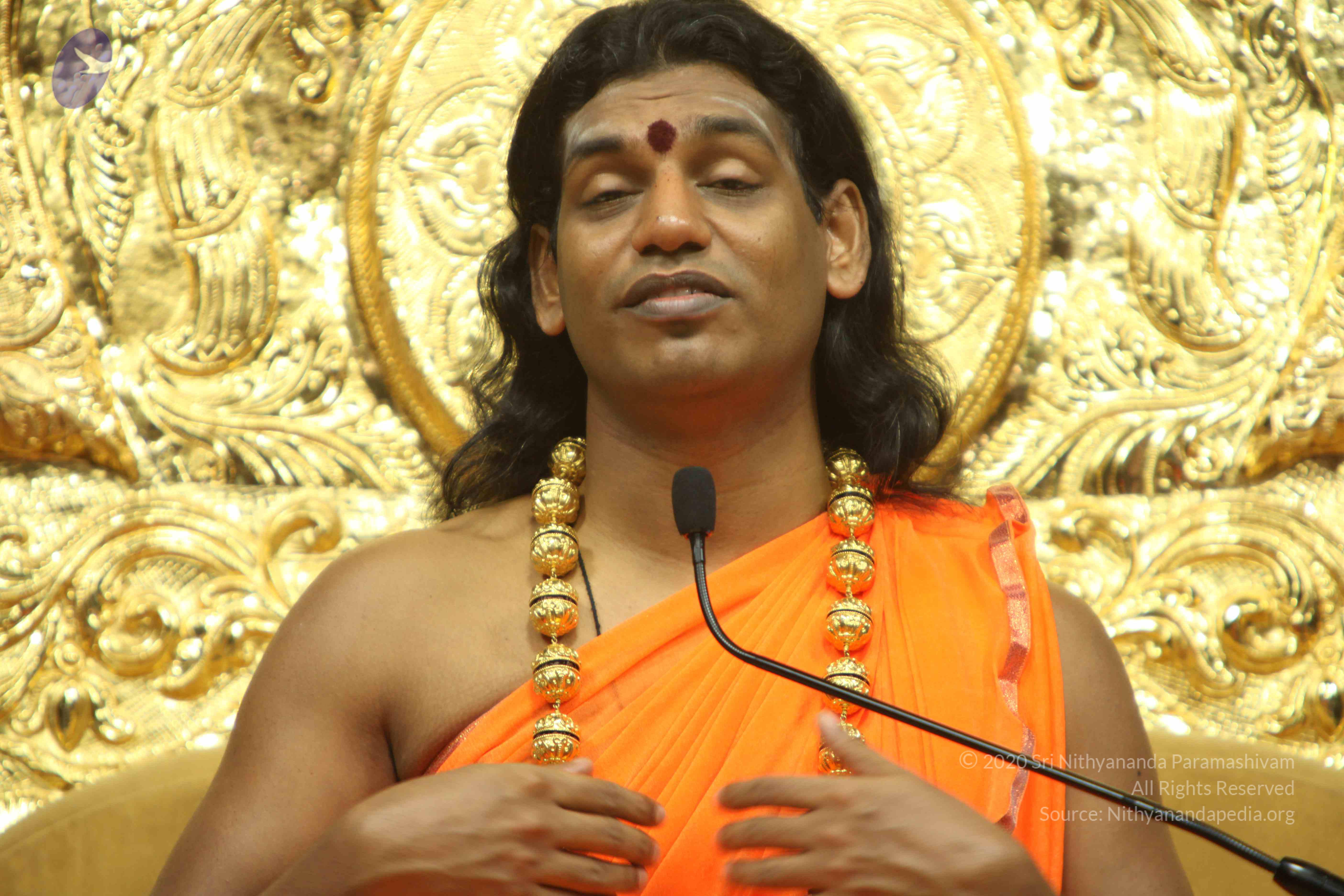 20110227_Photo_1156_IMG_9194_CMP_WM