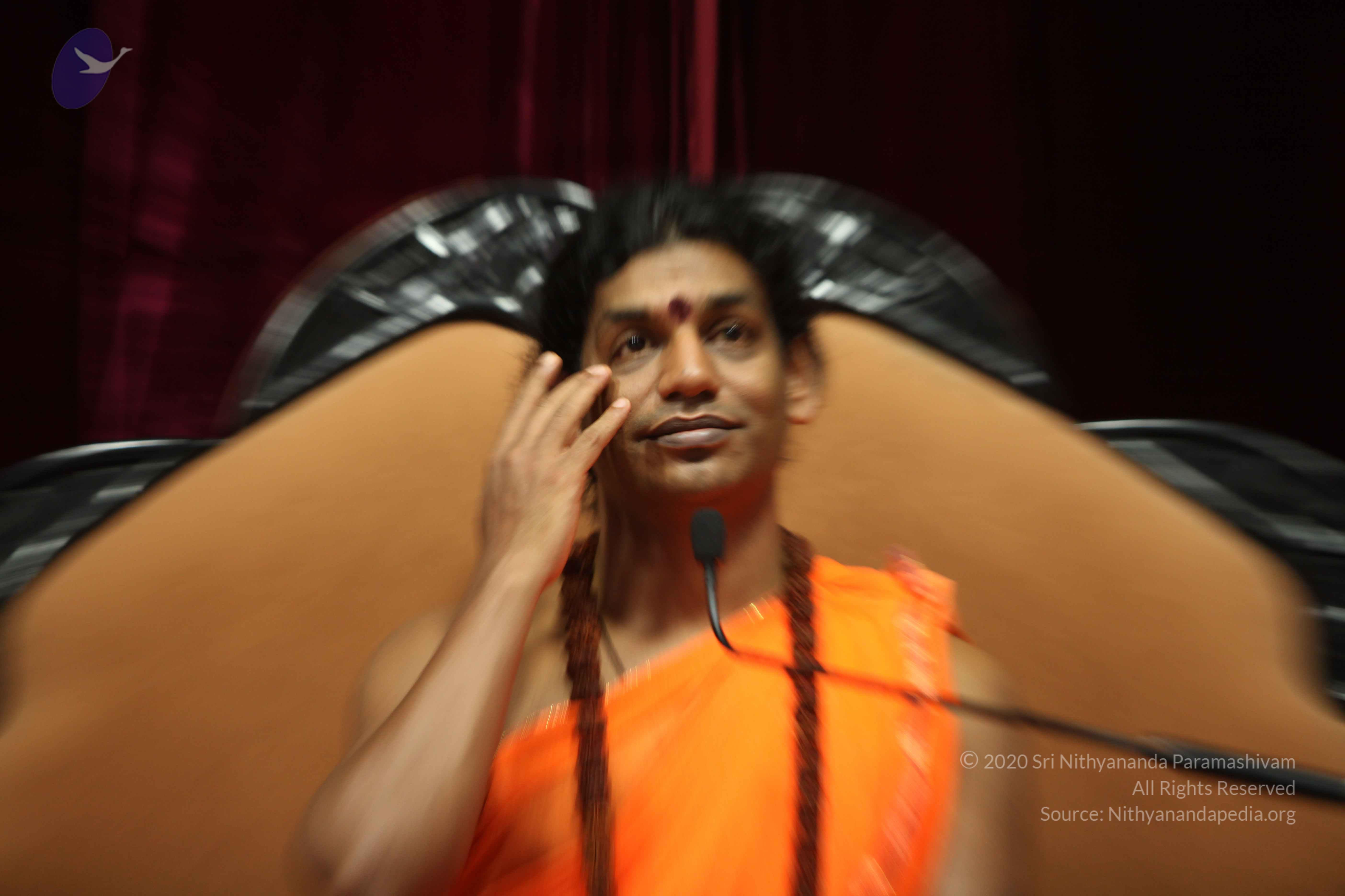 20110227_Photo_1161_IMG_9535_CMP_WM