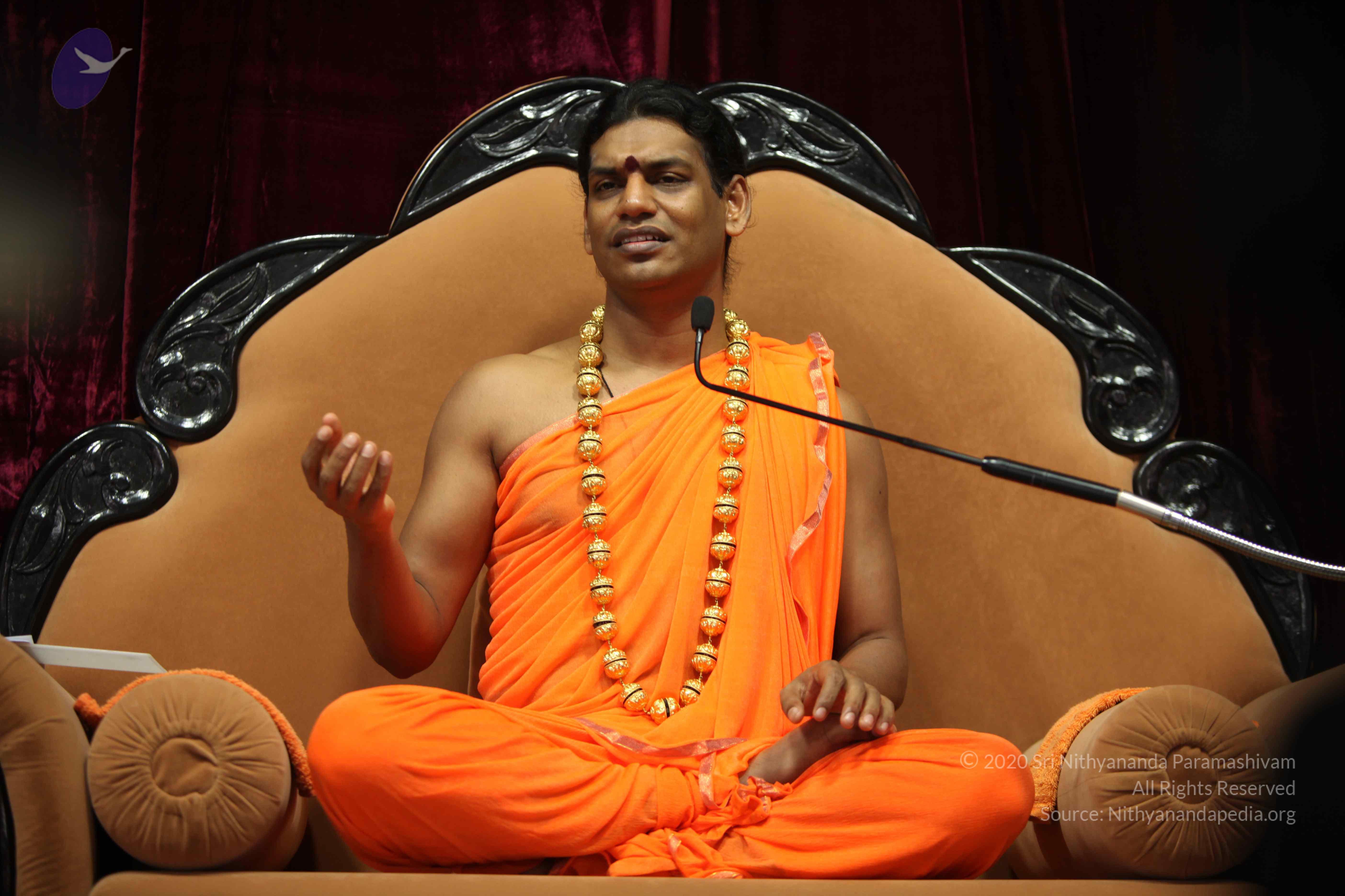 20110227_Photo_1164_IMG_9474_CMP_WM