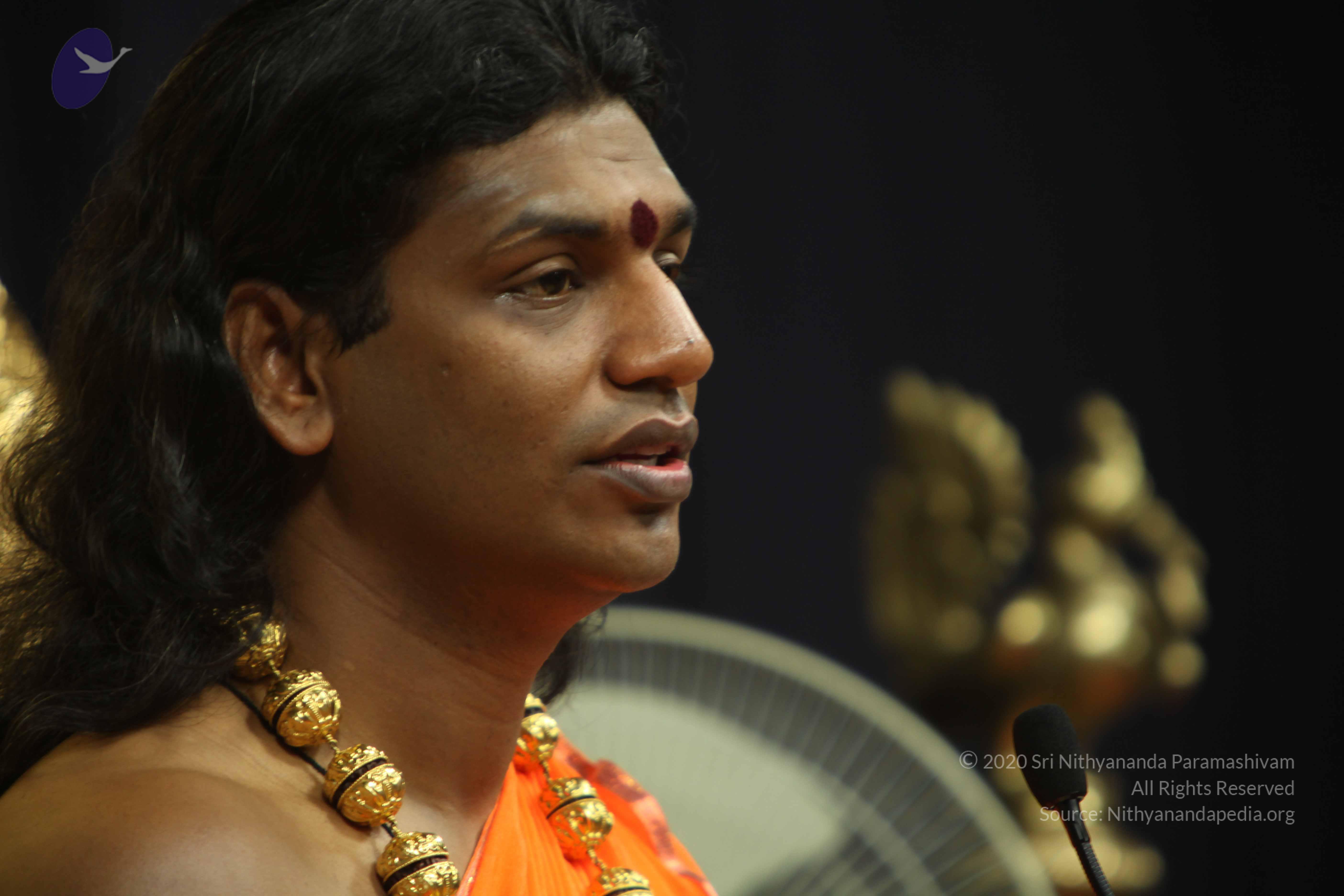 20110227_Photo_1169_IMG_9048_CMP_WM