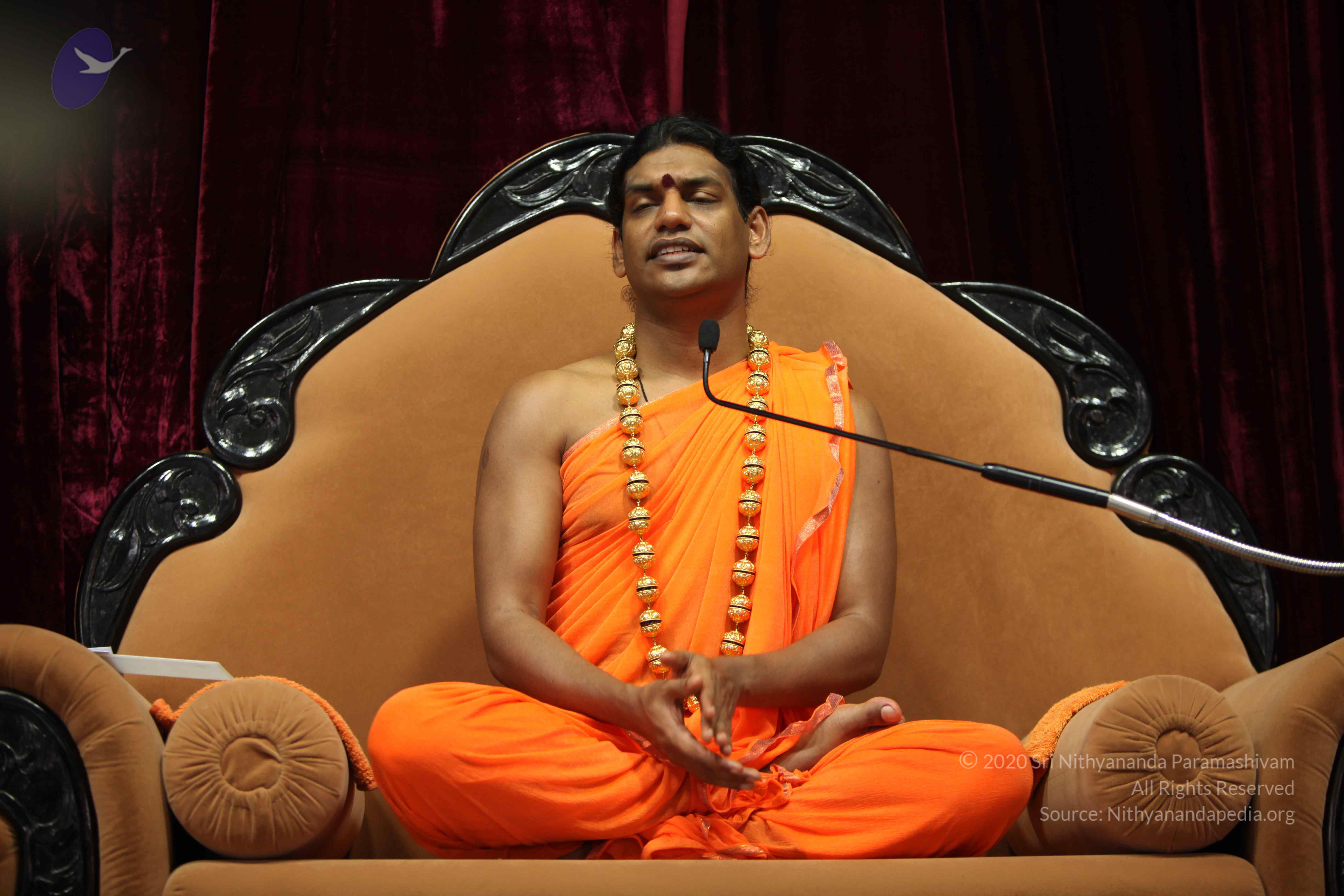 20110227_Photo_1171_IMG_9397_CMP_WM