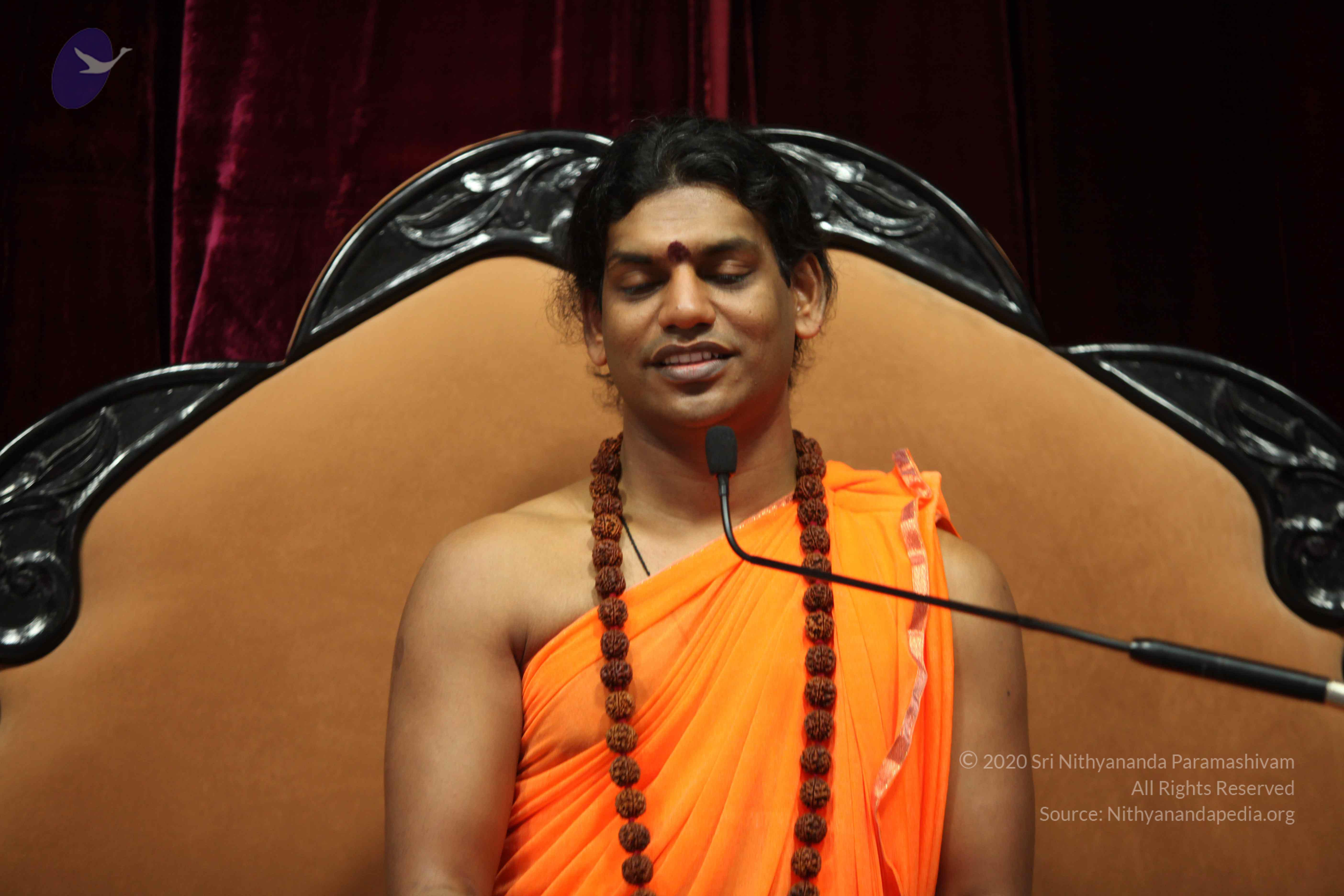 20110227_Photo_1173_IMG_9529_CMP_WM