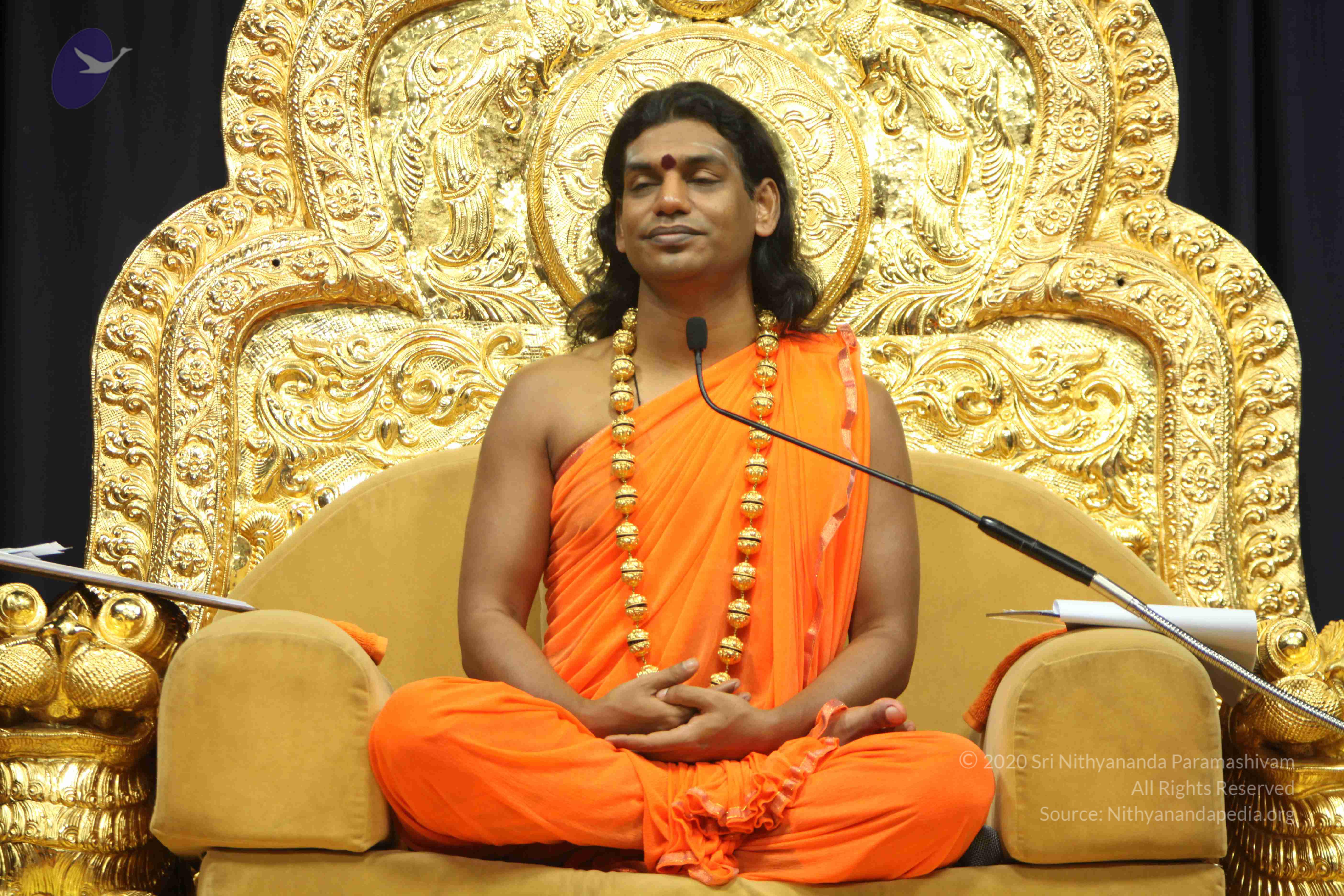 20110227_Photo_1175_IMG_9122_CMP_WM